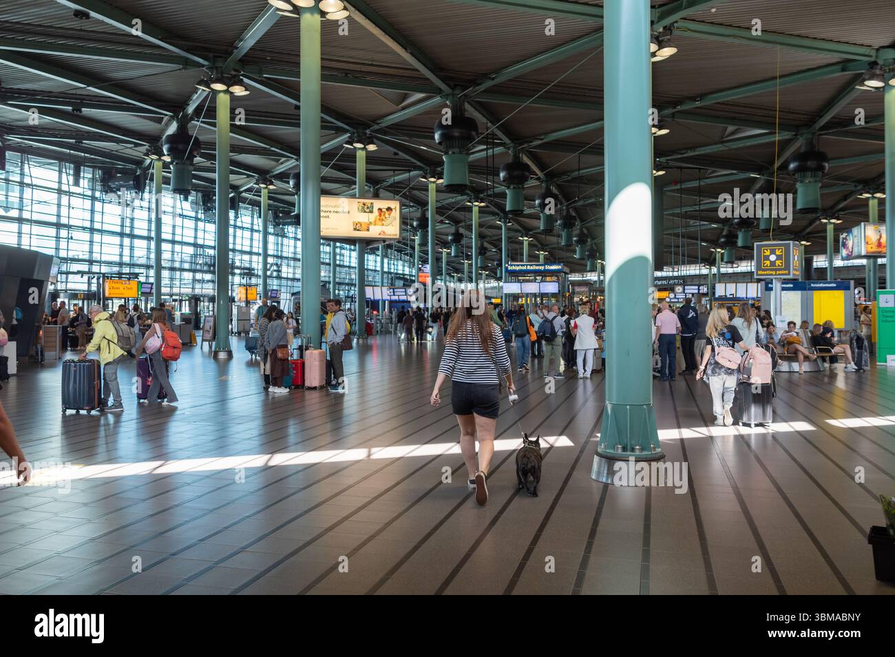 Amsterdam, pays-Bas (21 juin 2025) - terminal aéroportuaire spacieux de Schiphol avec de hauts plafonds soutenus par des colonnes en métal vert et de grandes fenêtres Banque D'Images