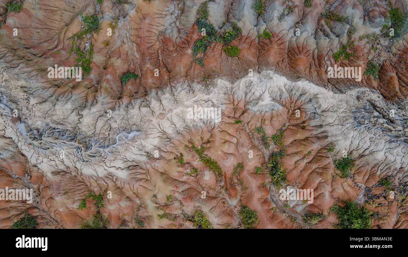 Superbe vue aérienne des paysages uniques dans le désert de Tatacoa, Huila, Colombie. Des motifs complexes de terre sèche et de végétation clairsemée créent une scène fascinante. Banque D'Images