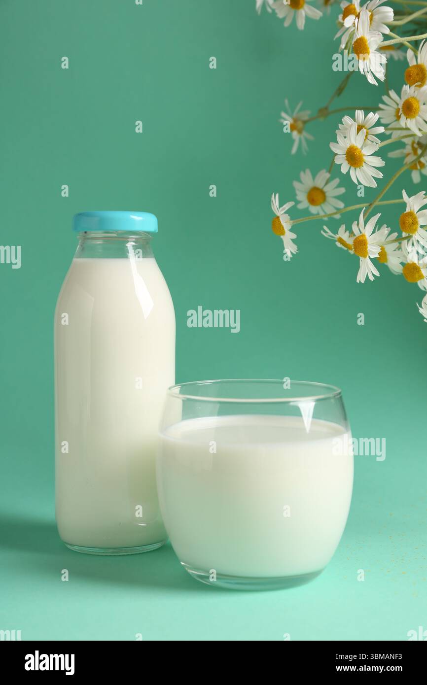 Lait frais en verre, bouteille et fleurs de camomille sur fond turquoise. Produit laitier Banque D'Images