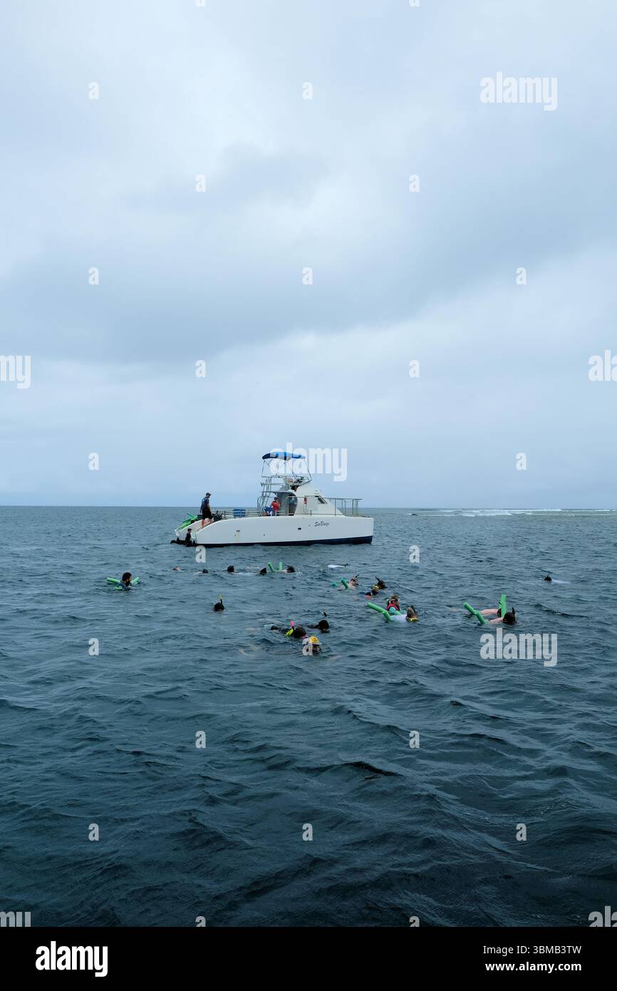 Touristes plongée avec tuba à côté d'un bateau charter au large de la côte de Kauai, Hawaï ; activité touristique le long du récif corallien côtier hawaïen ; plongée avec tuba en mer. Banque D'Images
