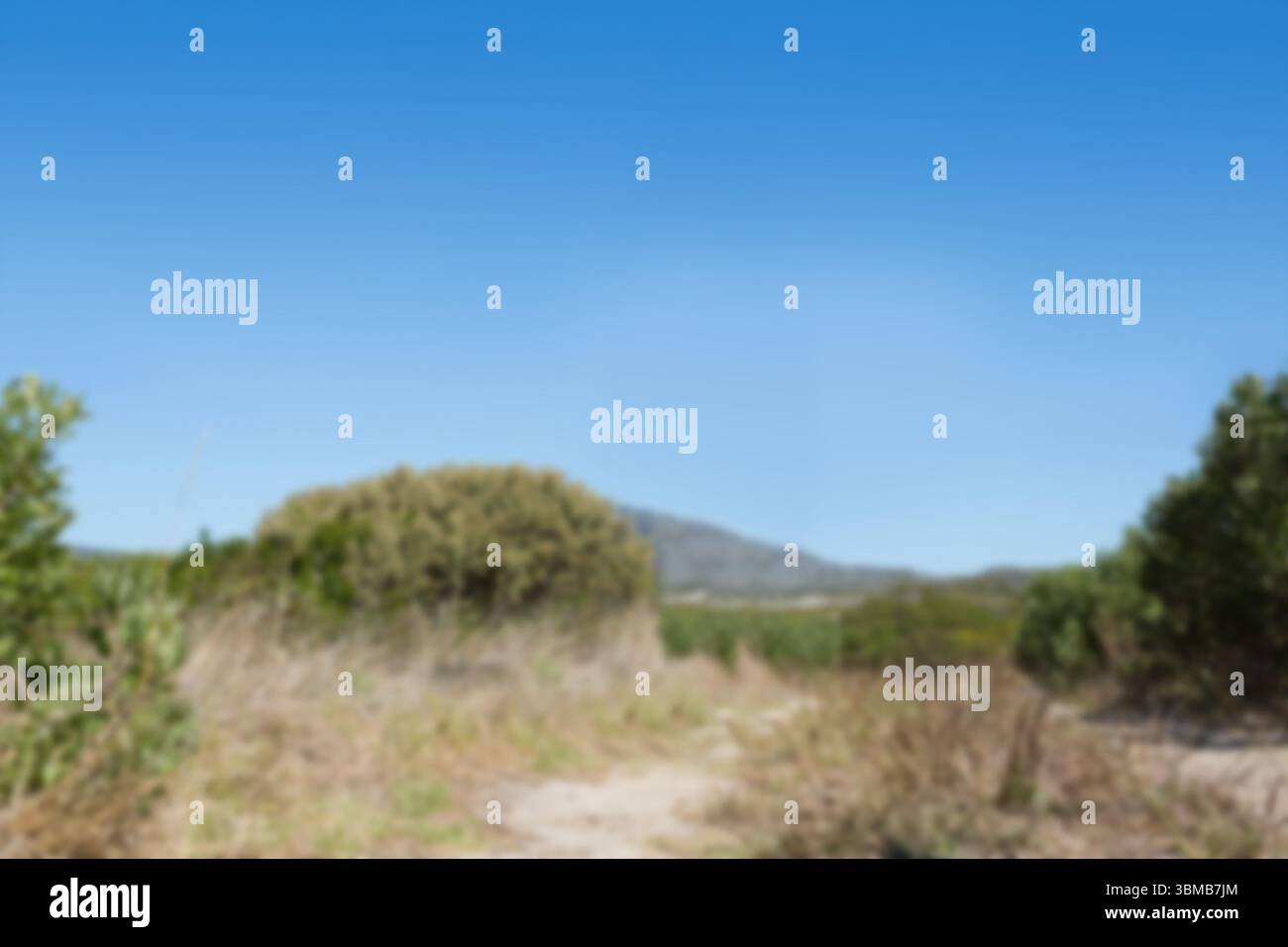 Route de terre par champ contre ciel dégagé Banque D'Images