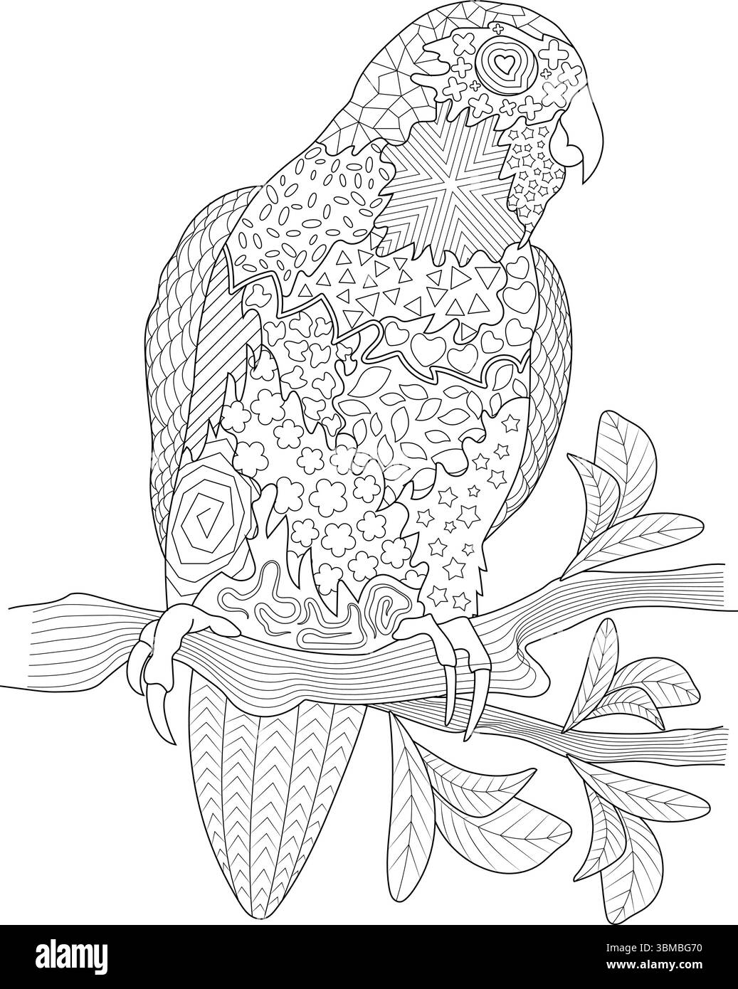 Illustration d'art vectoriel noir et blanc d'un oiseau, peut-être un oiseau d'amour ou un perroquet, perché sur une branche. Le corps de l'oiseau est finement structuré Illustration de Vecteur