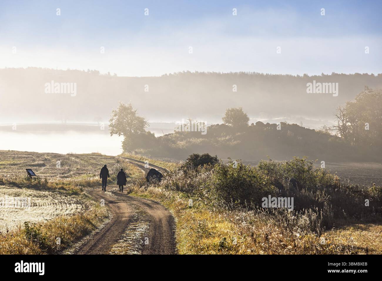 Couple marchant sur une route de gravier sinueuse dans une campagne vallonnée avec une brume matinale faible sur les champs un beau matin ensoleillé d'automne Banque D'Images