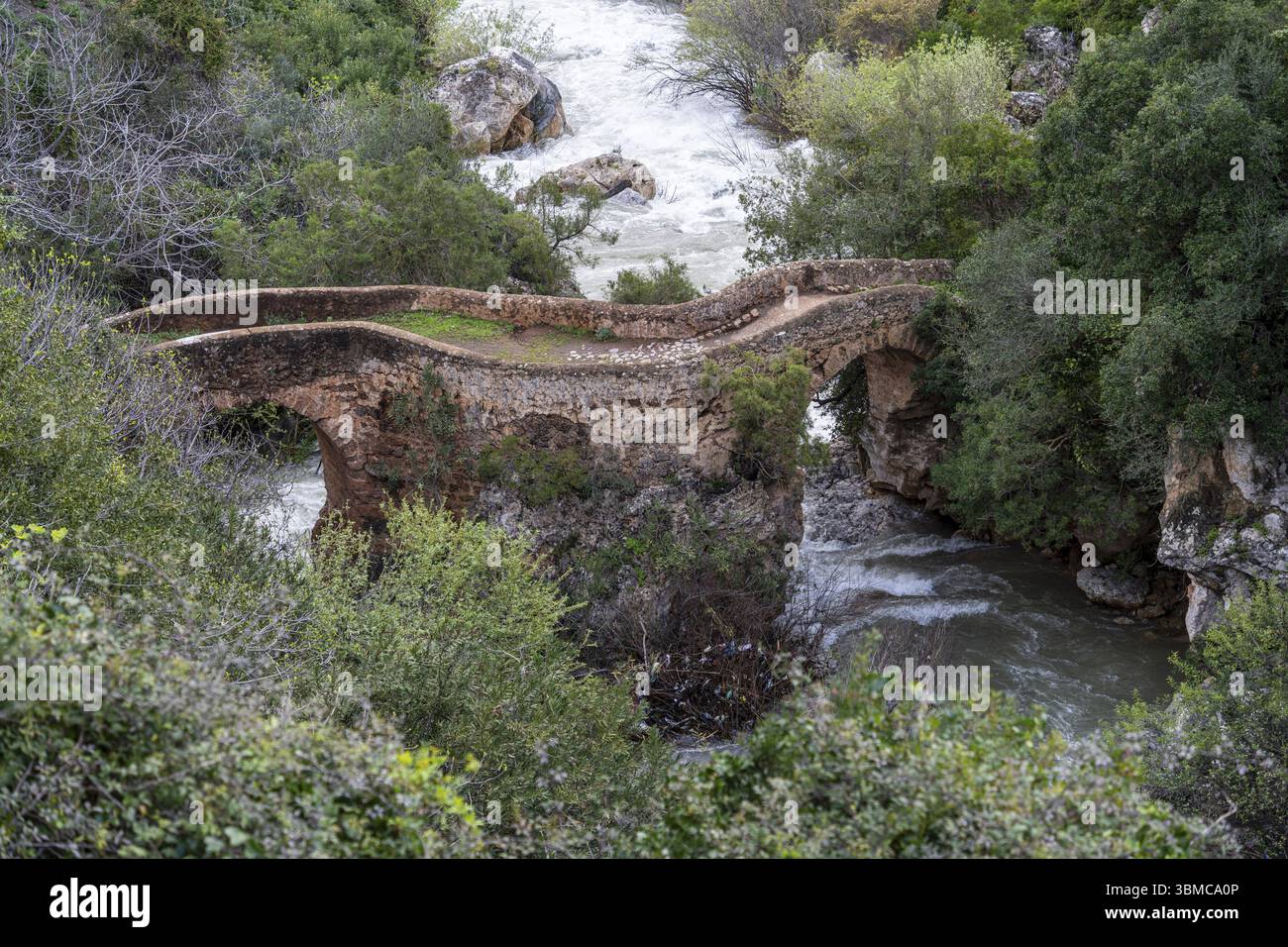 Pont antique, peut-être romain, sur la rivière, gorge de la rivière Fardi, Akchour, talambote, Maroc, Afrique du Nord, Afrique Banque D'Images
