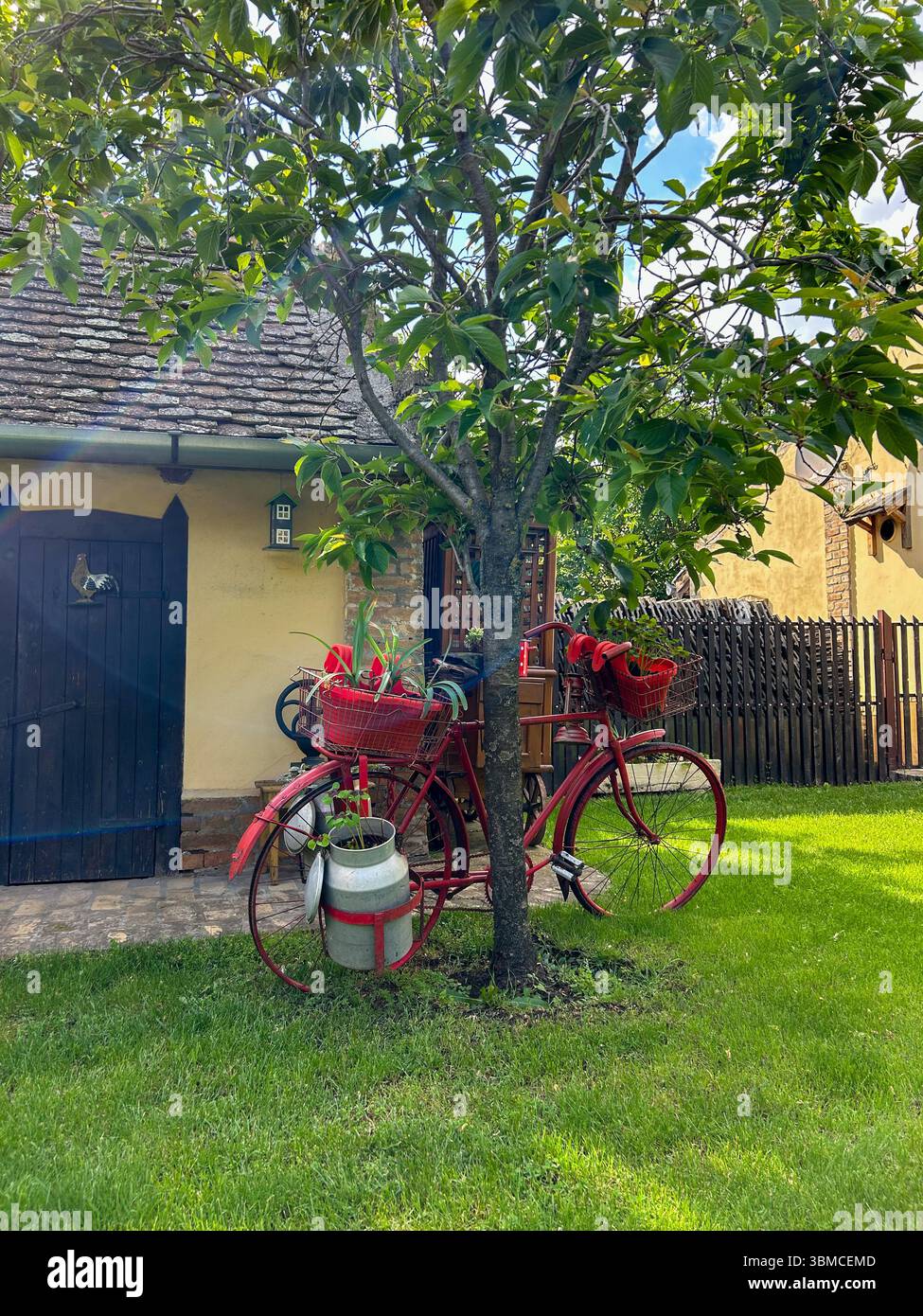 Vélo rouge à l'ancienne avec des paniers de fleurs et une canette de lait appuyée contre un arbre dans un charmant jardin de campagne, avec une maison rustique dans le dos - Image de stock capturée avec un smartphone