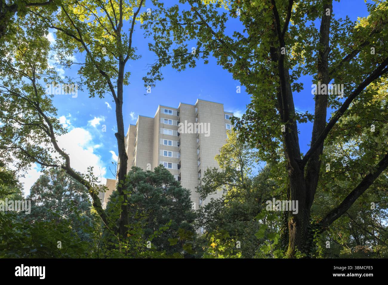 Immeuble de grande hauteur devant un ciel bleu derrière des arbres, Offenbach am main, Hesse, Allemagne, Europe Banque D'Images