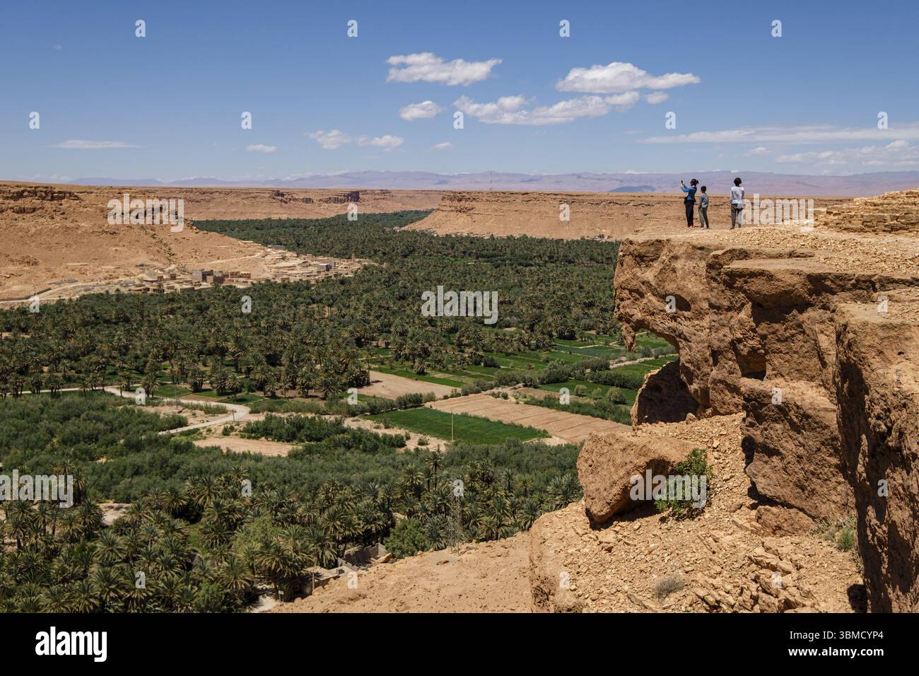 Palmeraie de Tafilalet, vallée de la rivière Ziz, Maroc, Afrique Banque D'Images