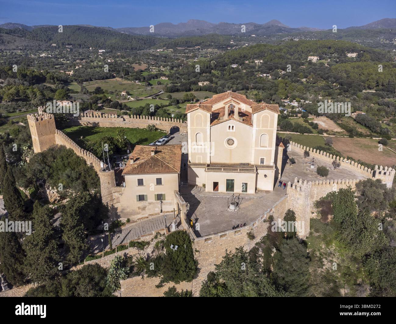 Rampante d'automne sur un mur de pierre, Parthenocissus tricuspidata, Arta, Majorque, Îles Baléares, Espagne, Europe Banque D'Images