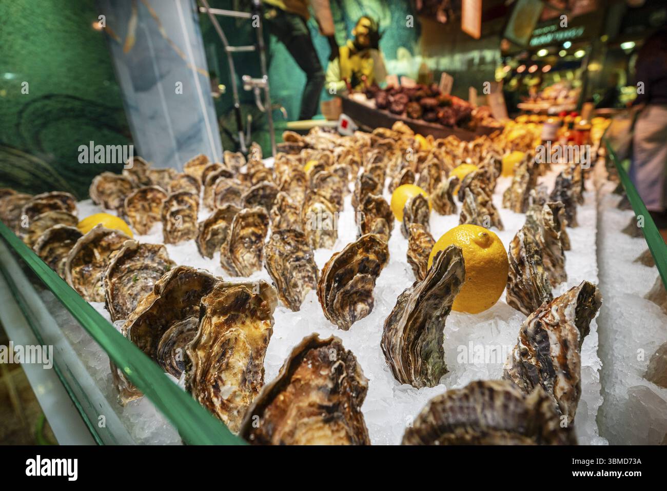 Vente d'huîtres fraîches, marché de la Boqueria, la Rambla, Barcelone, â€‹ â€‹ Catalogne, Espagne, Europe Banque D'Images