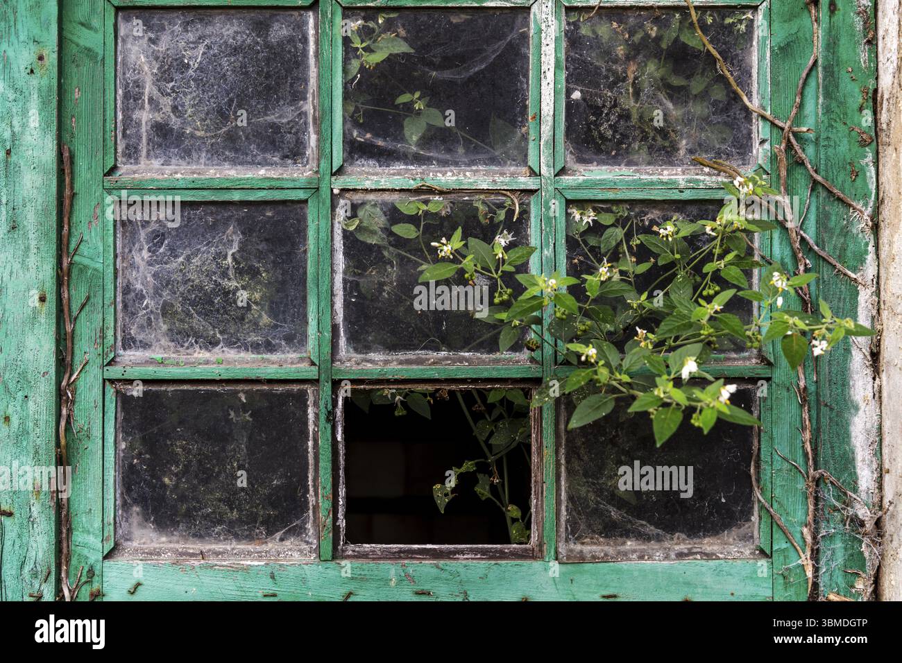 Altes beschaedigtes Fenster auf einem Bauernhof à Liencres Banque D'Images