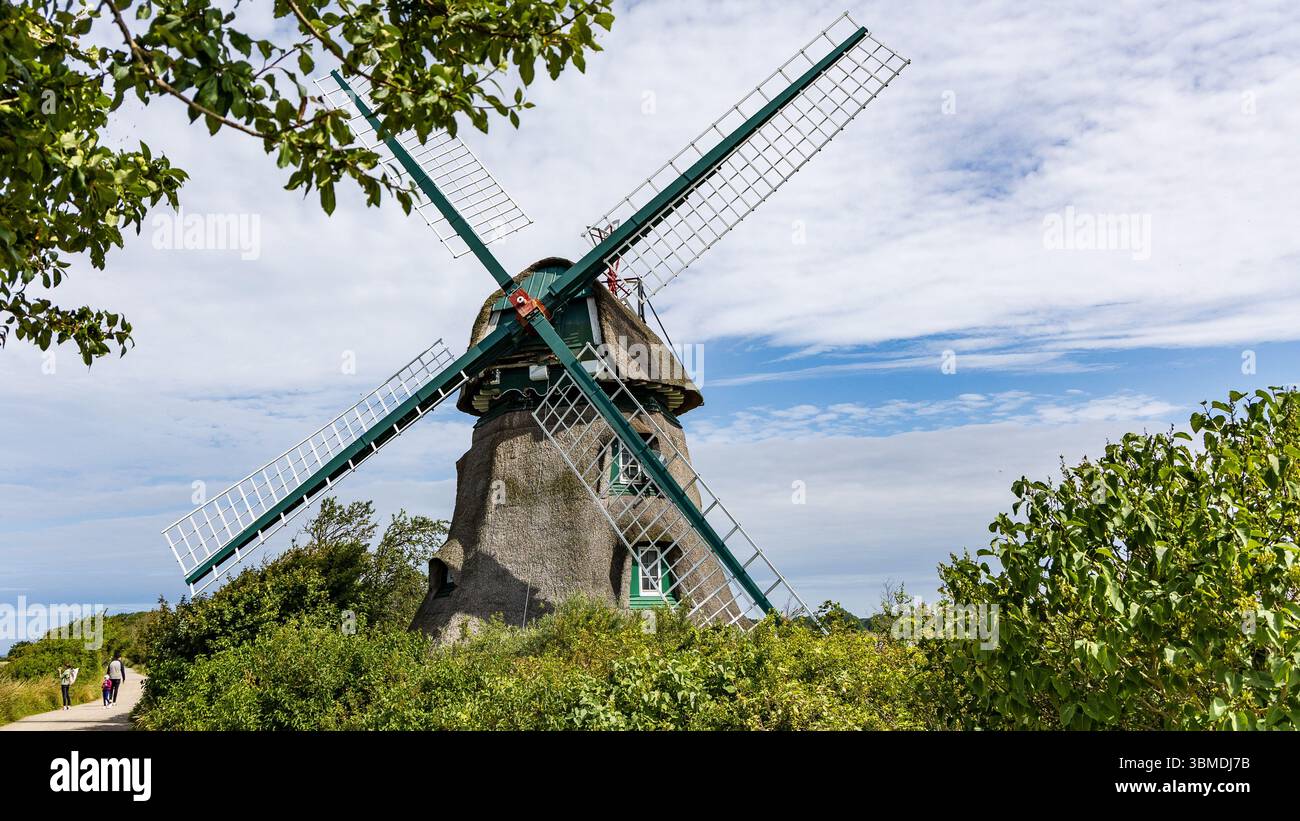 Nieby, Allemagne. 26 juin 2025. Le moulin 'Charlotte' est un point de repère et un point de repère dans le 'Geltinger Birk'. De nombreux randonneurs et cyclistes passent le moulin tous les jours. La réserve naturelle de Geltinger Birk est située à l'embouchure du fjord de Flensburg. Avec une superficie totale de près de 800 hectares, c'est la plus grande réserve naturelle du district de Schleswig-Flensburg. Crédit : Frank Hammerschmidt/dpa/Alamy Live News Banque D'Images