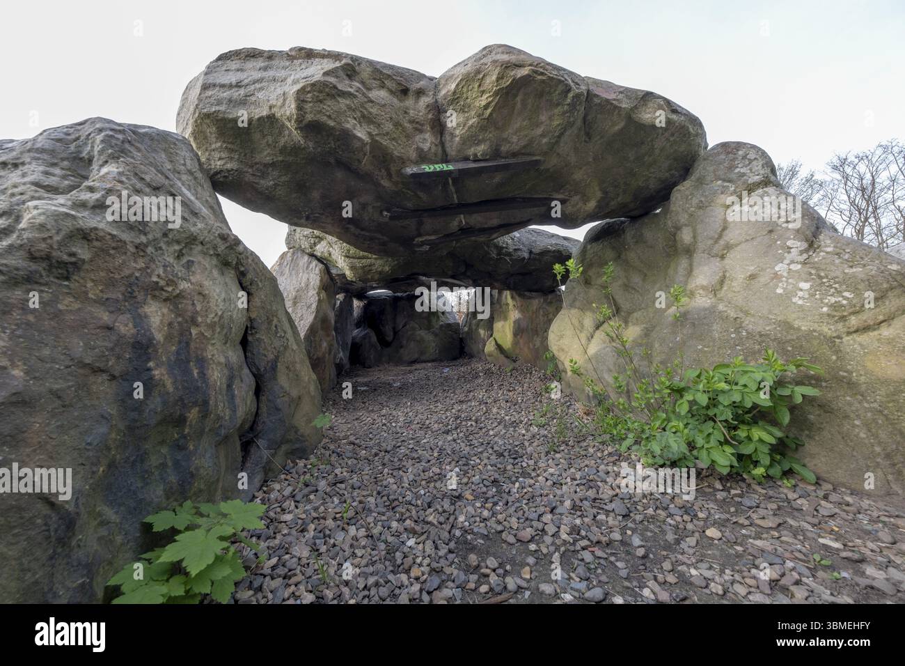 Luebbensteine, deux tombes mégalithiques de la période néolithique vers 3500 av. J.-C. sur l'Annenberg près de Helmstedt, ici la tombe nord B (Sprockhoff no Banque D'Images