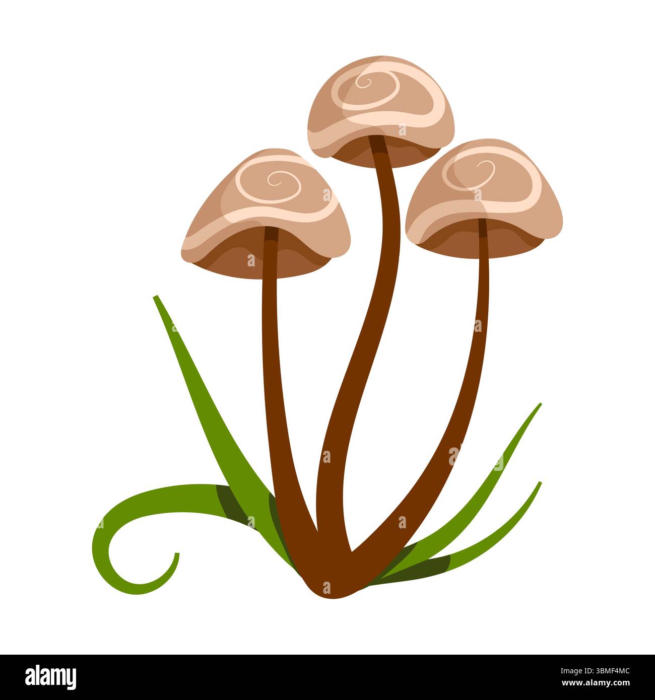 Ensemble d'illustrations vectorielles d'automne mignonnes - champignons, agarique de mouche, feuilles. Plantes dessinées à la main. Graphiques vectoriels plats. Illustration de Vecteur