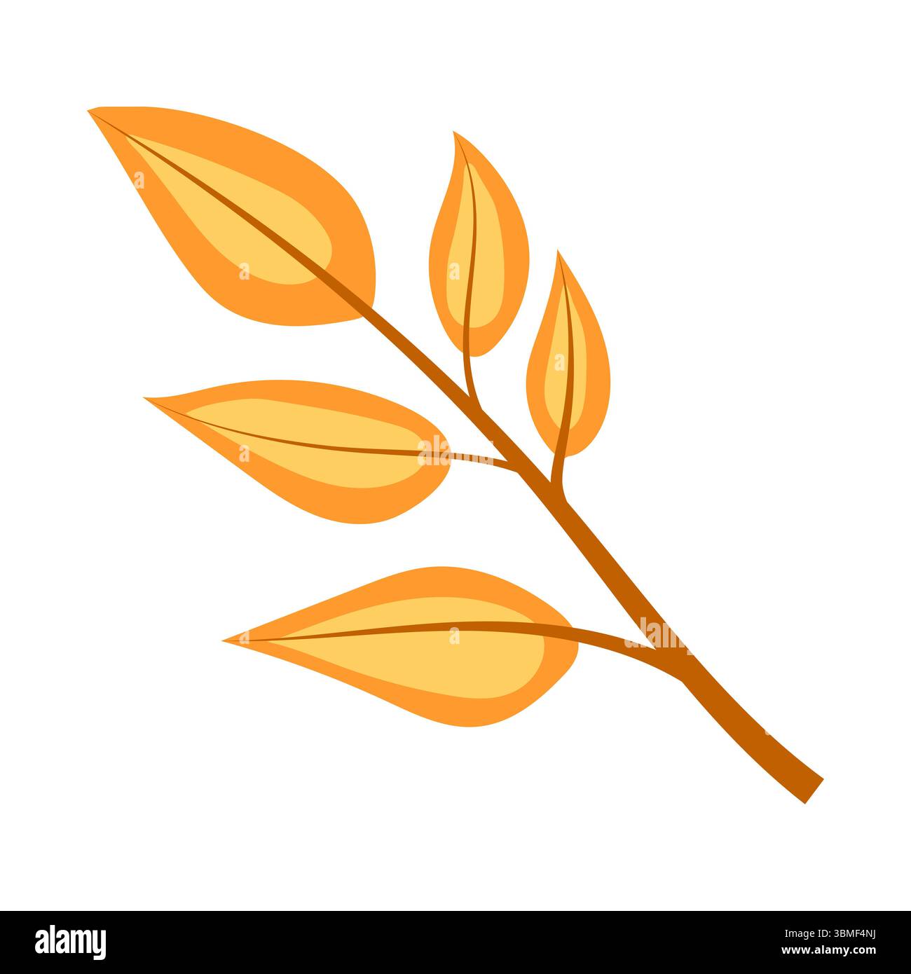 Ensemble d'illustrations vectorielles d'automne mignonnes - champignons, agarique de mouche, feuilles. Plantes dessinées à la main. Graphiques vectoriels plats. Illustration de Vecteur