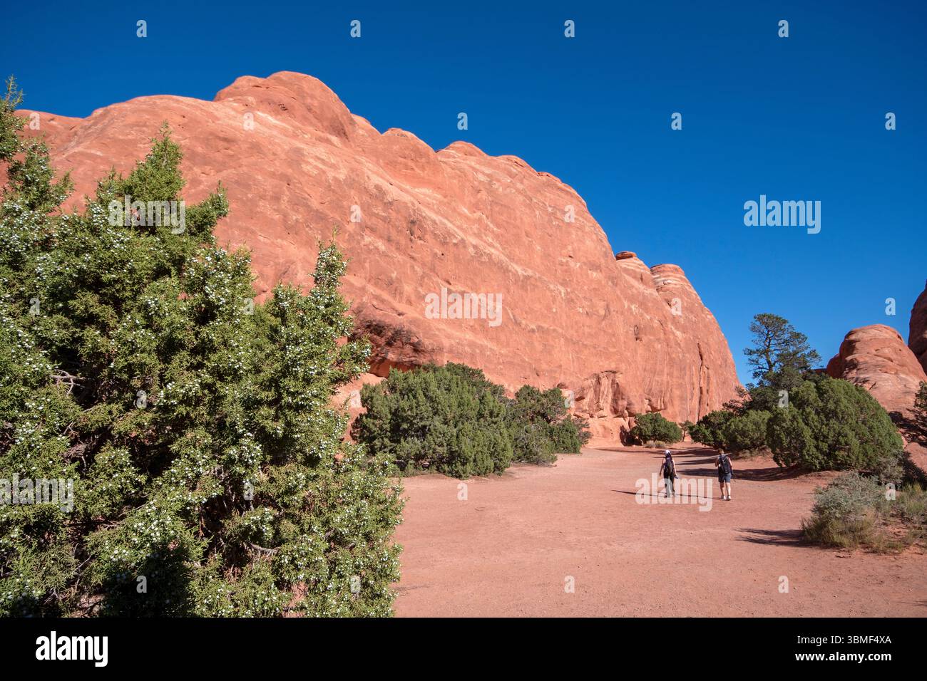 Grandes formations rocheuses dans le parc national des Arches, Utah, États-Unis Banque D'Images