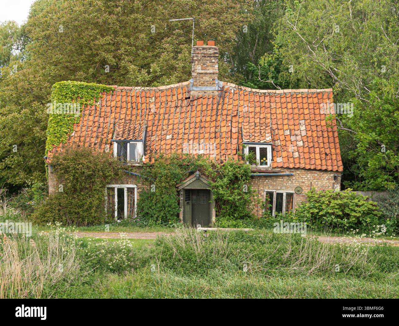 Vieux cottage fenland avec toit en tuiles de pan, près de Manea, Cambridgeshire, Angleterre Banque D'Images
