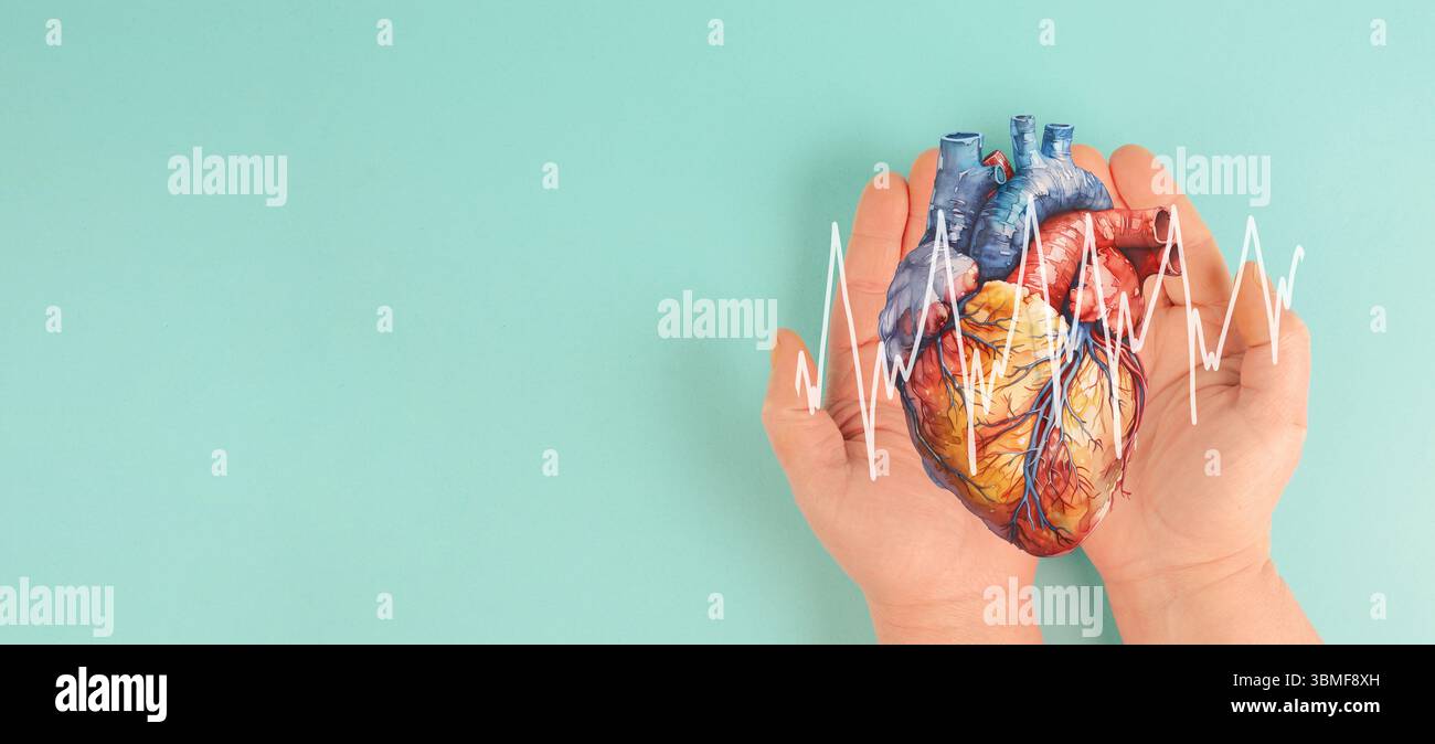 Journée mondiale du cœur, battements de cœur, sensibilisation mondiale aux maladies cardiovasculaires, attention au facteur de risque médical, prévention des crises cardiaques par un mode de vie sain Banque D'Images