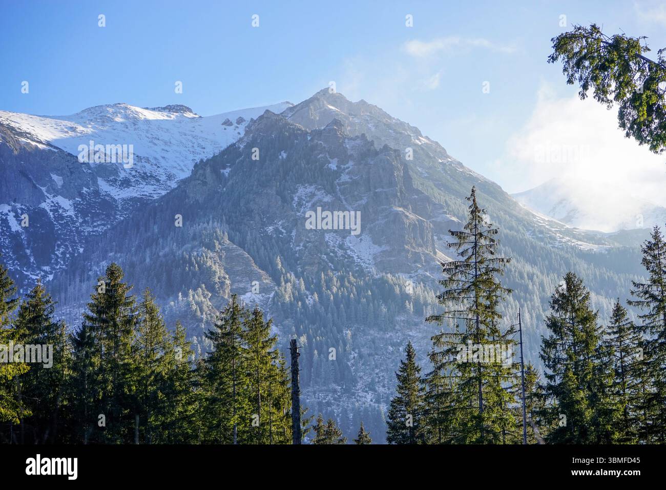 Sentier rouge vers Morskie Oko dans le parc national des Tatra, Pologne Banque D'Images