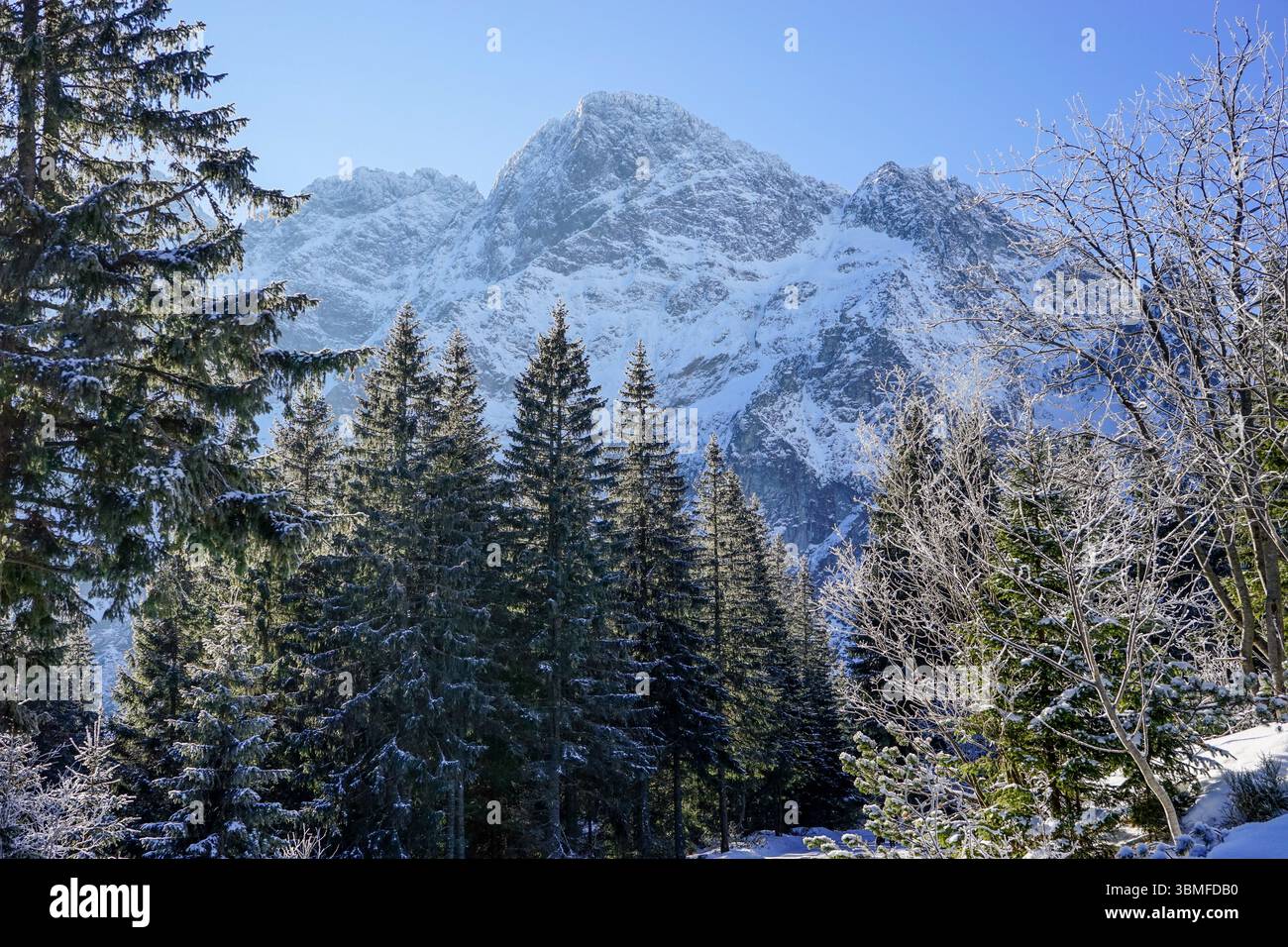 Sentier rouge vers Morskie Oko dans le parc national des Tatra, Pologne Banque D'Images