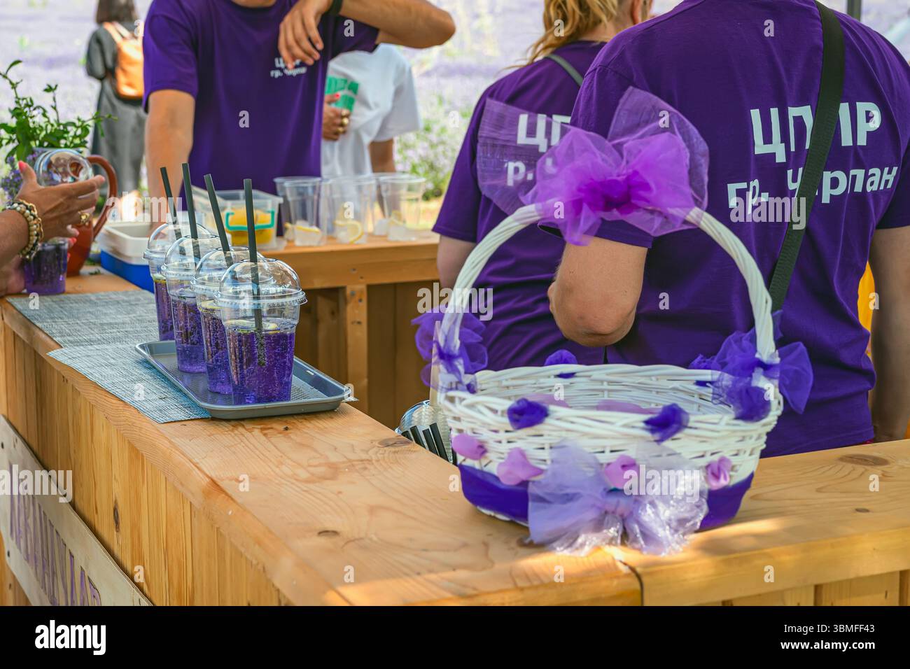 Boissons à la lavande servies au stand du festival d'été avec des gens en chemises violettes. Festival de la lavande, Bulgarie. Concept de rafraîchissement à base de plantes de lavande Banque D'Images