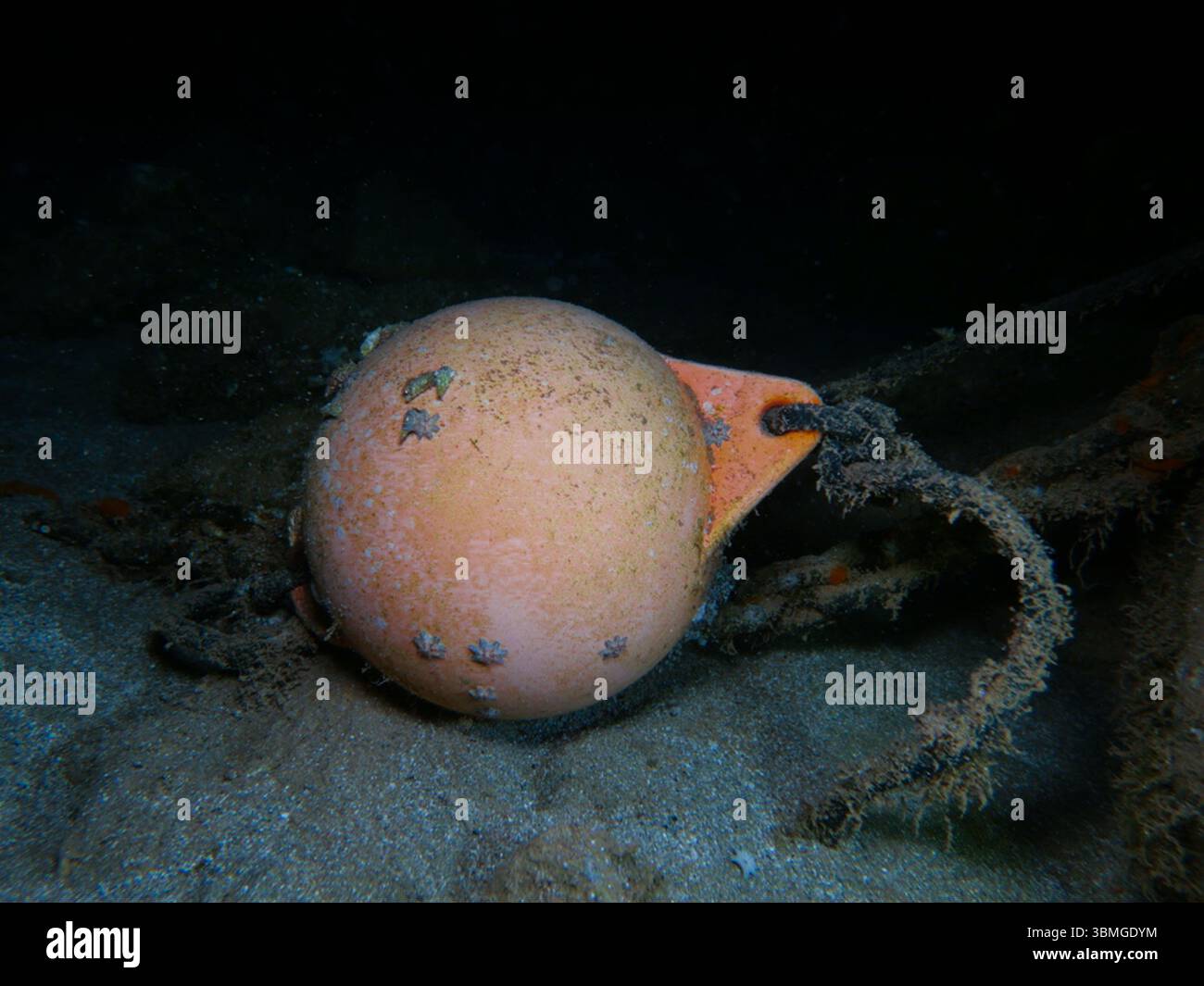 Bouée d'amarrage orange sous l'eau Banque D'Images