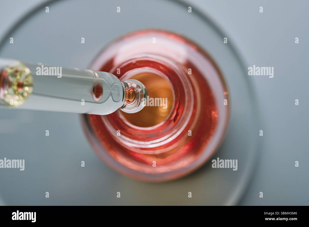 Bouteille d'huile ou de sérum et pipette dans une boîte de Petri sur fond gris. Produit cosmétique rose, concentration sélective Banque D'Images