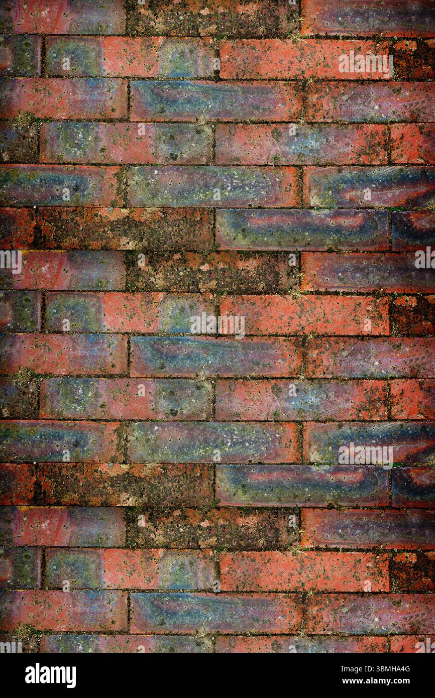 Conception plate montrant la surface de mur de briques rouges altérées avec de la mousse, lichen sur fond transparent Banque D'Images