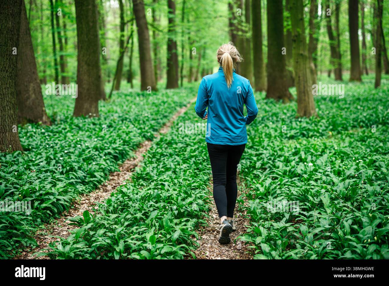 Femme courant sur le sentier forestier. Coureuse portant des vêtements de sport. Activités de loisirs en plein air Banque D'Images