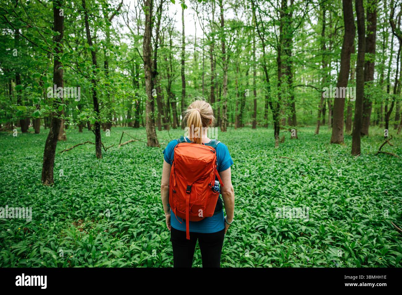 Femme avec sac à dos randonnée à travers la forêt verte, explorer la nature et profiter de la promenade paisible en plein air Banque D'Images