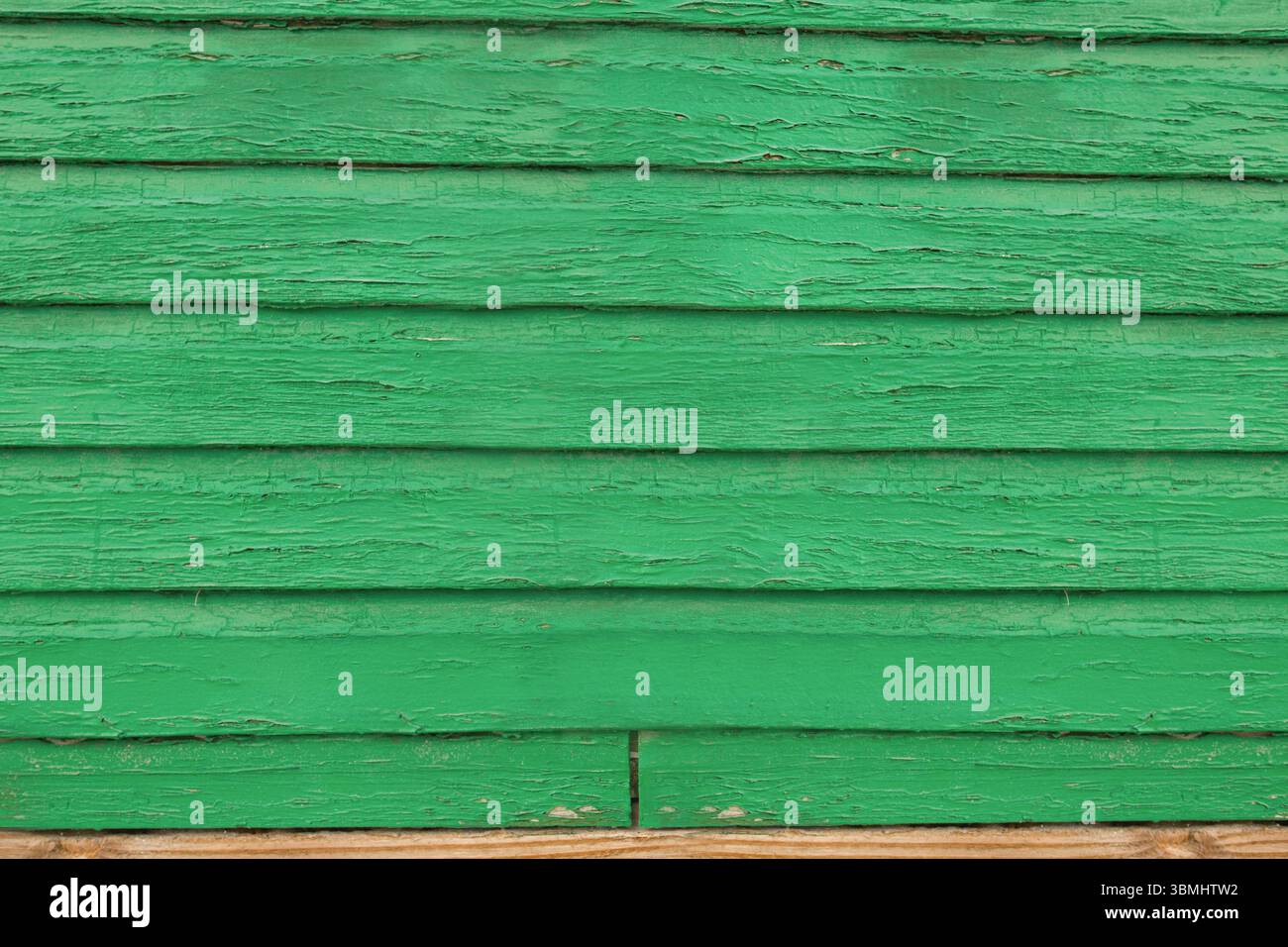 Photo plein format d'un mur vert Banque D'Images