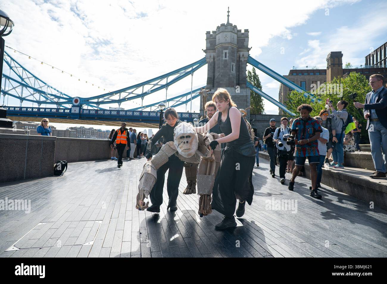 LES TROUPEAUX de marionnettes grandeur nature ont voyagé pendant quatre mois du Congo à Londres et jusqu'à l'Arctique. Ils unissent les artistes, les scientifiques et les communautés dans une réponse puissante à notre urgence climatique. Ces magnifiques créatures balaient les villes, fuyant les catastrophes climatiques, tout en inspirant des conversations urgentes sur notre relation avec la nature. Nous vous invitons à rejoindre notre puissant mouvement pour le changement. Pourquoi ne pas commencer par une petite action ? Alors que LES TROUPEAUX parcourent 20 000 km du bassin du Congo à l’Arctique, ils unissent artistes, scientifiques et communautés dans une réponse puissante à notre climat émergent Banque D'Images