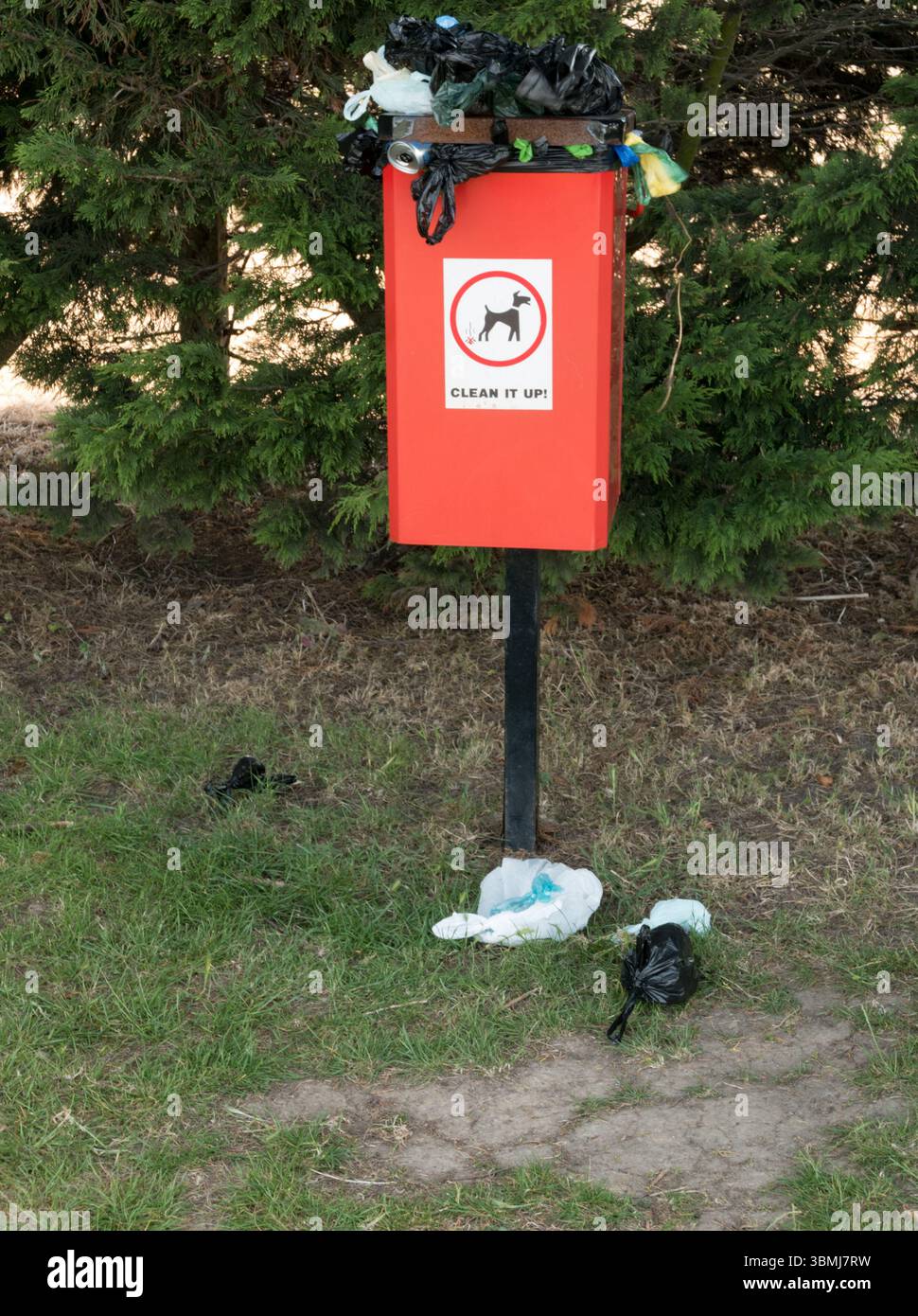 Une poubelle pour chiens trop remplie avec des sacs excédentaires laissés au sol au Royaume-Uni Banque D'Images