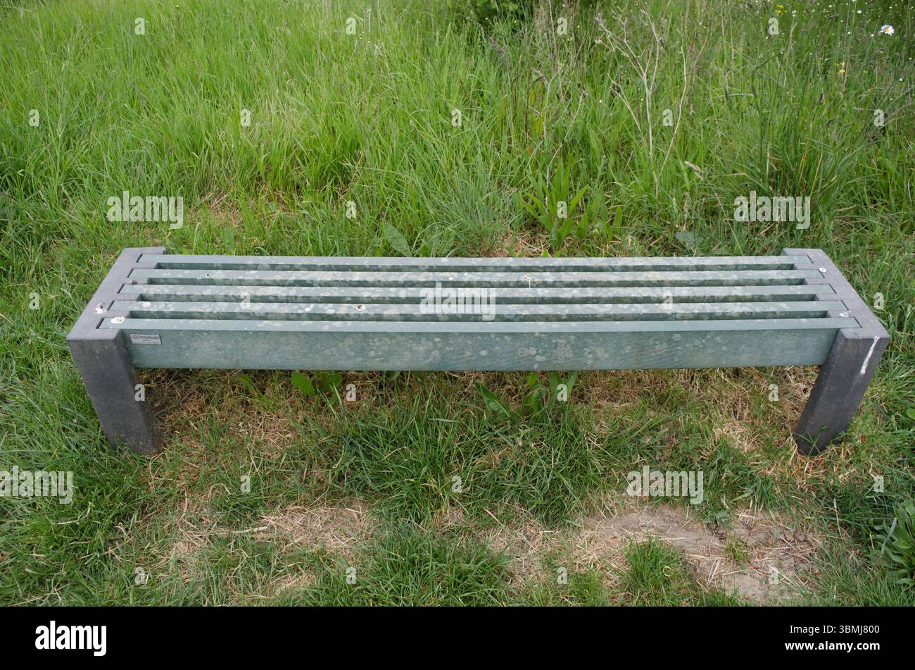 Un banc de parc en fer altéré dans un long coin envahi par la végétation d'un parc a gravement négligé Essex UK Banque D'Images