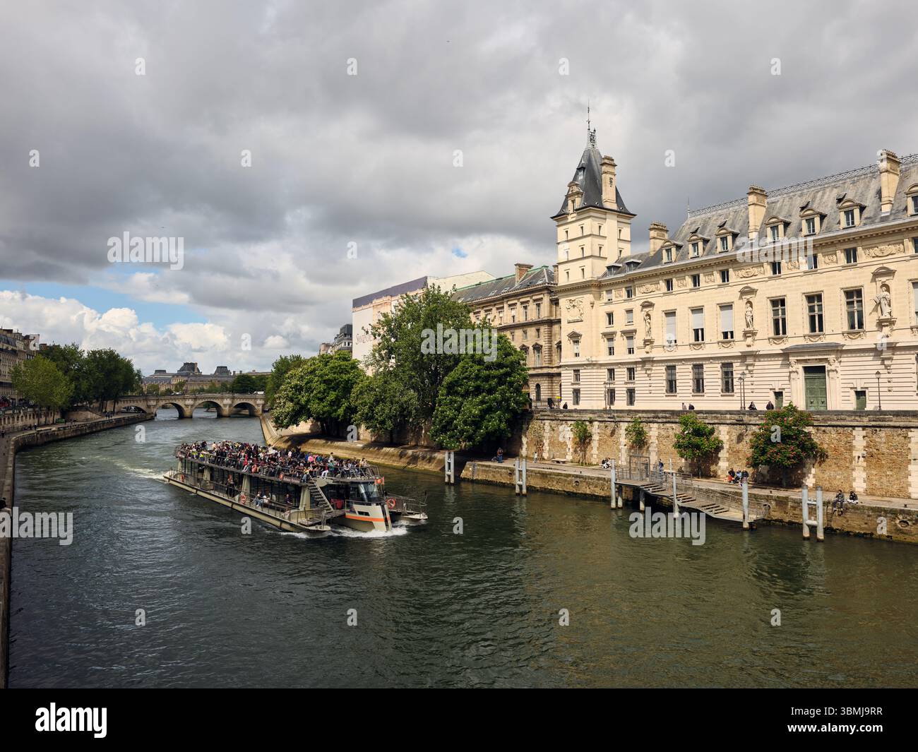 Touristes appréciant une excursion en bateau panoramique sur la Seine, paris, france Banque D'Images