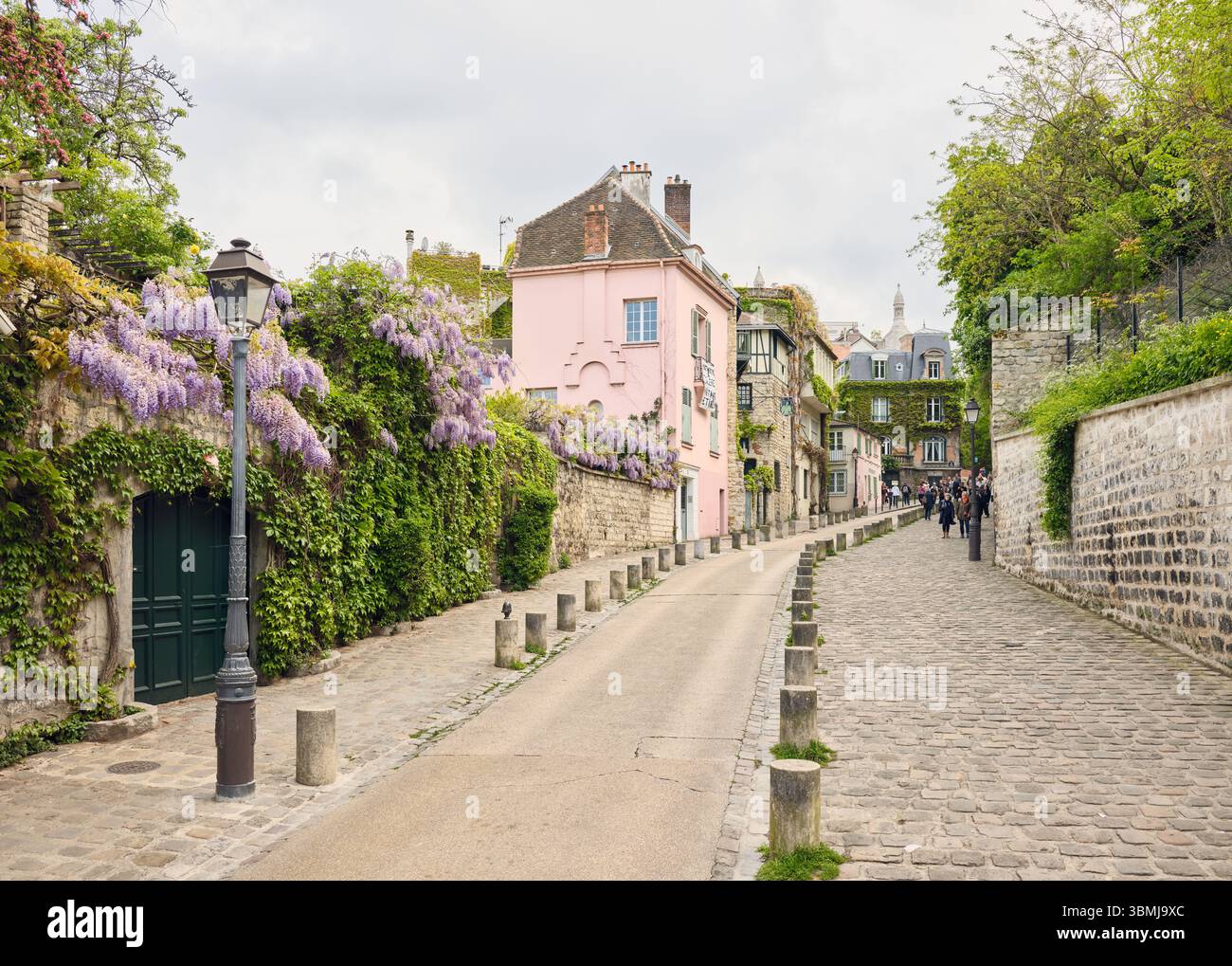 Wisteria fleurit dans une rue pittoresque de montmartre, paris Banque D'Images