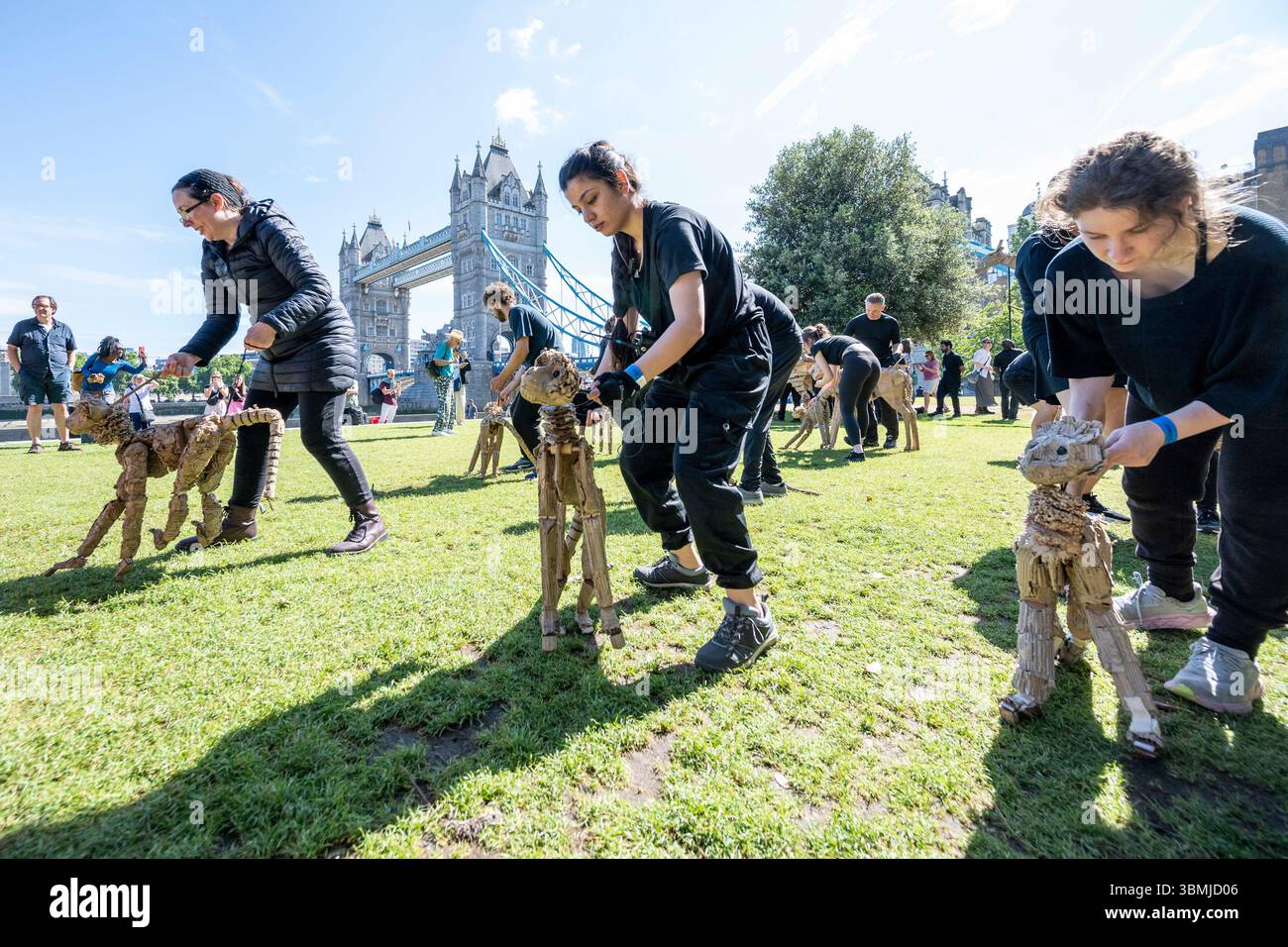 Londres, Royaume-Uni. 27 juin 2025. Les marionnettistes se produisent lors d’une conférence téléphonique près de Tower Bridge for THE HERDS, une nouvelle œuvre d’art majeure qui voit des animaux marionnettes grandeur nature voyager, d’avril à août 2025, sur une route de 20 000 km entre le bassin du Congo et le cercle arctique, symbolisant leur fuite d’une catastrophe climatique. Gorilles, lions, zèbres et kudus sont arrivés à Londres pour le week-end avant de passer à Manchester. Credit : Stephen Chung / Alamy Live News Banque D'Images