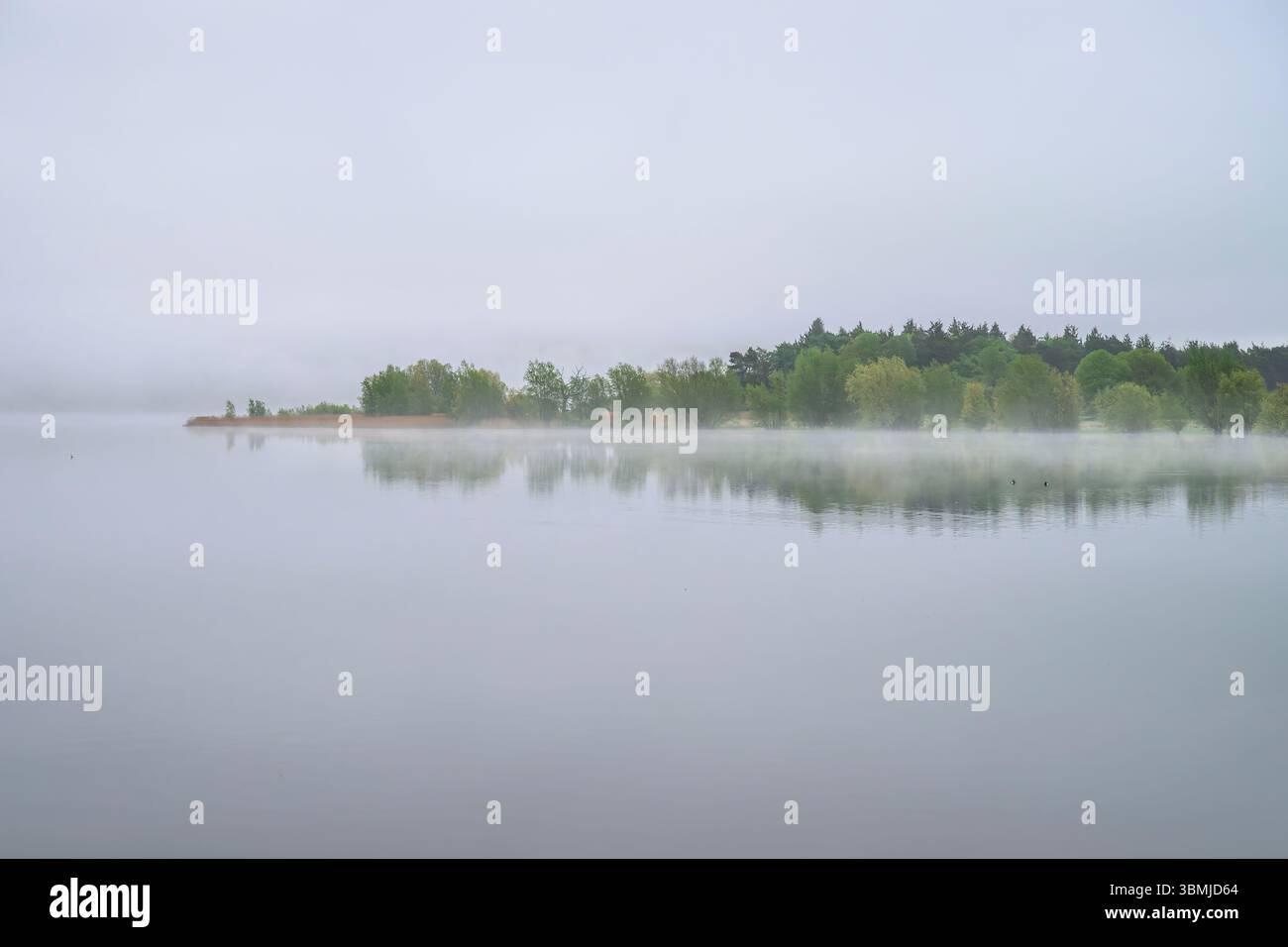 Lac Chew Valley sur un mouette et gris brumeux matin au lever du soleil avec une brume basse couchée sur le lac et réflexion Banque D'Images