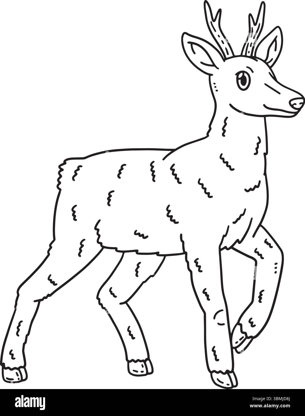 Page de coloriage Forest animal Roe Deer isolé Illustration de Vecteur