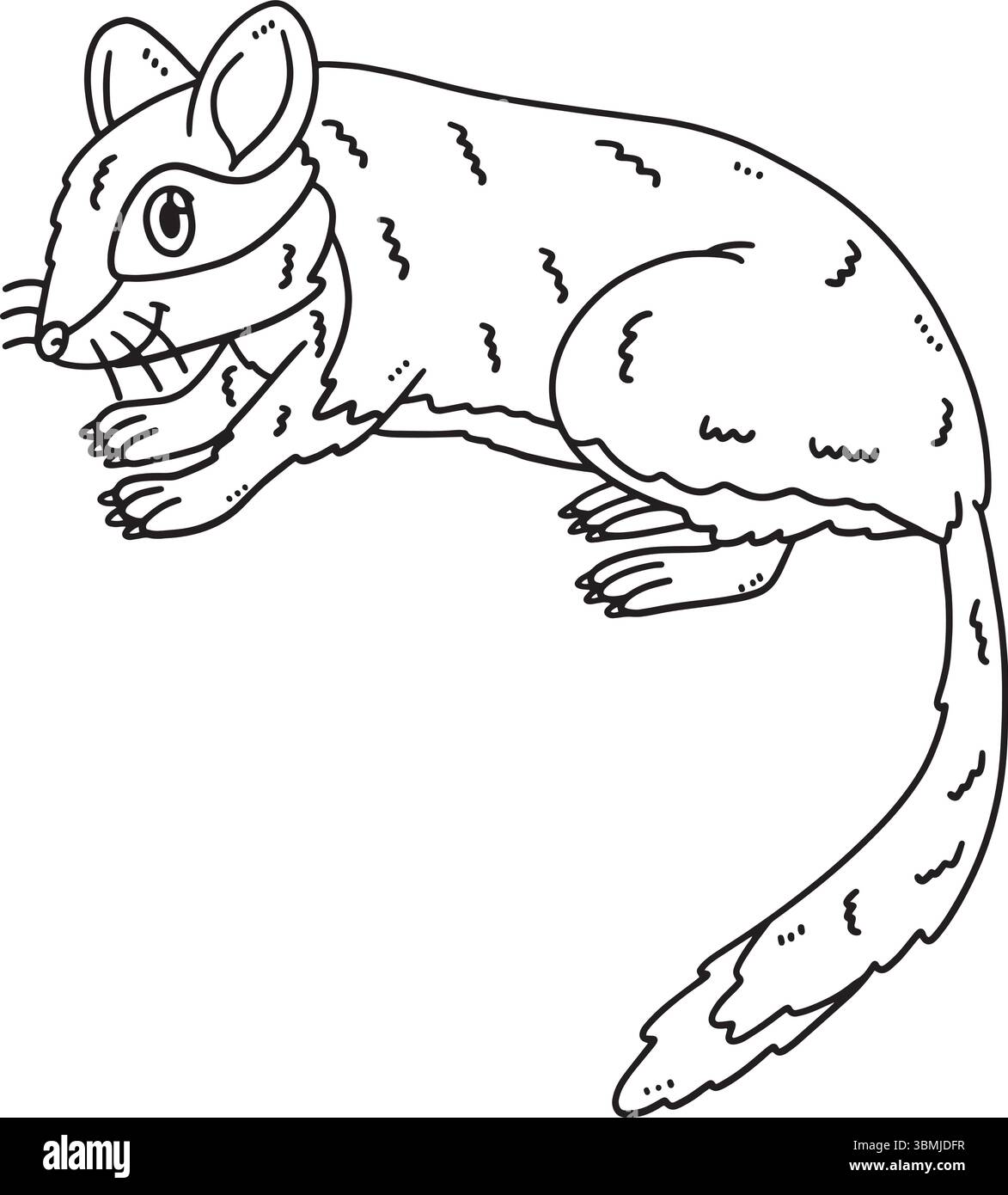 Forest animal Garden Dormouse coloration isolée Illustration de Vecteur