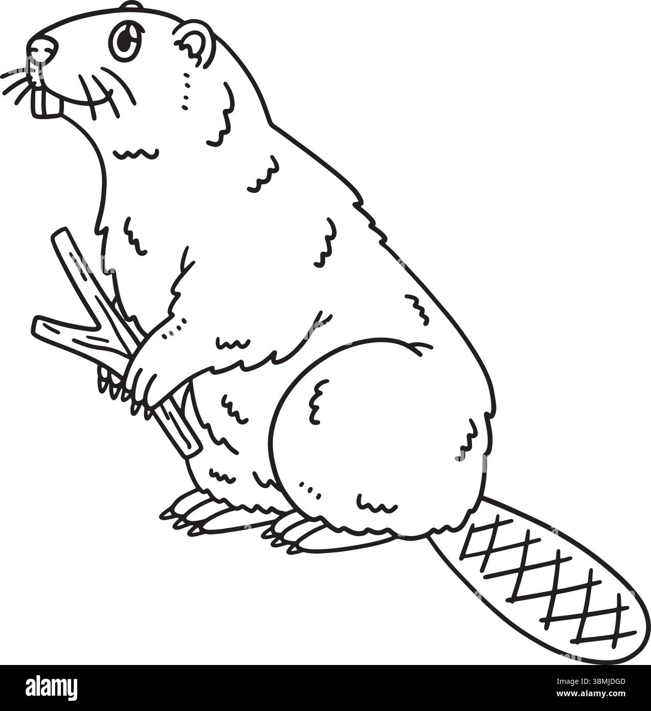 Page de coloration isolée de castor animal de la forêt Illustration de Vecteur