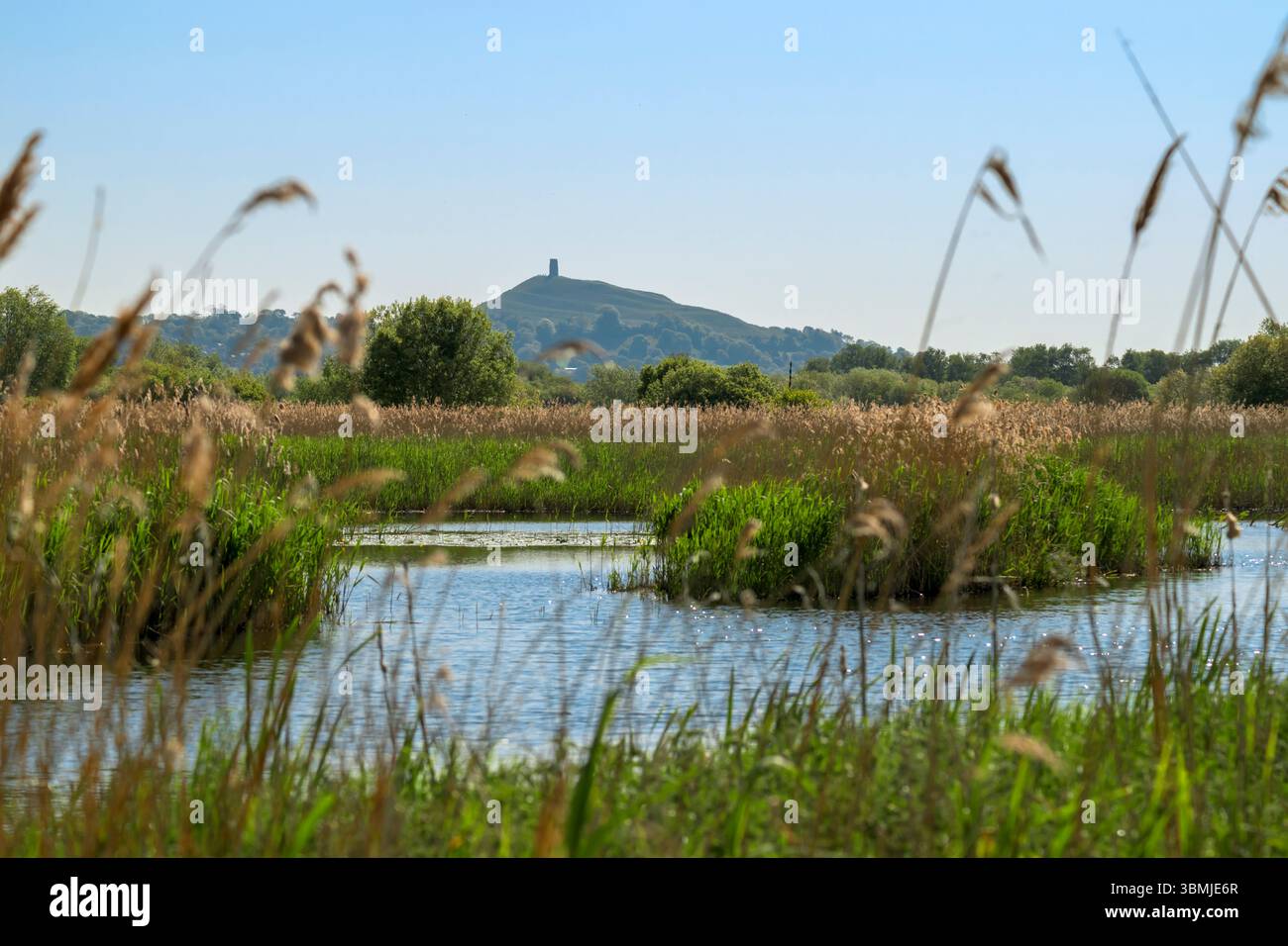 Vue sur les marais prise de Meare, vers Glastonbury Tor, Somerset, prise tôt le matin Banque D'Images