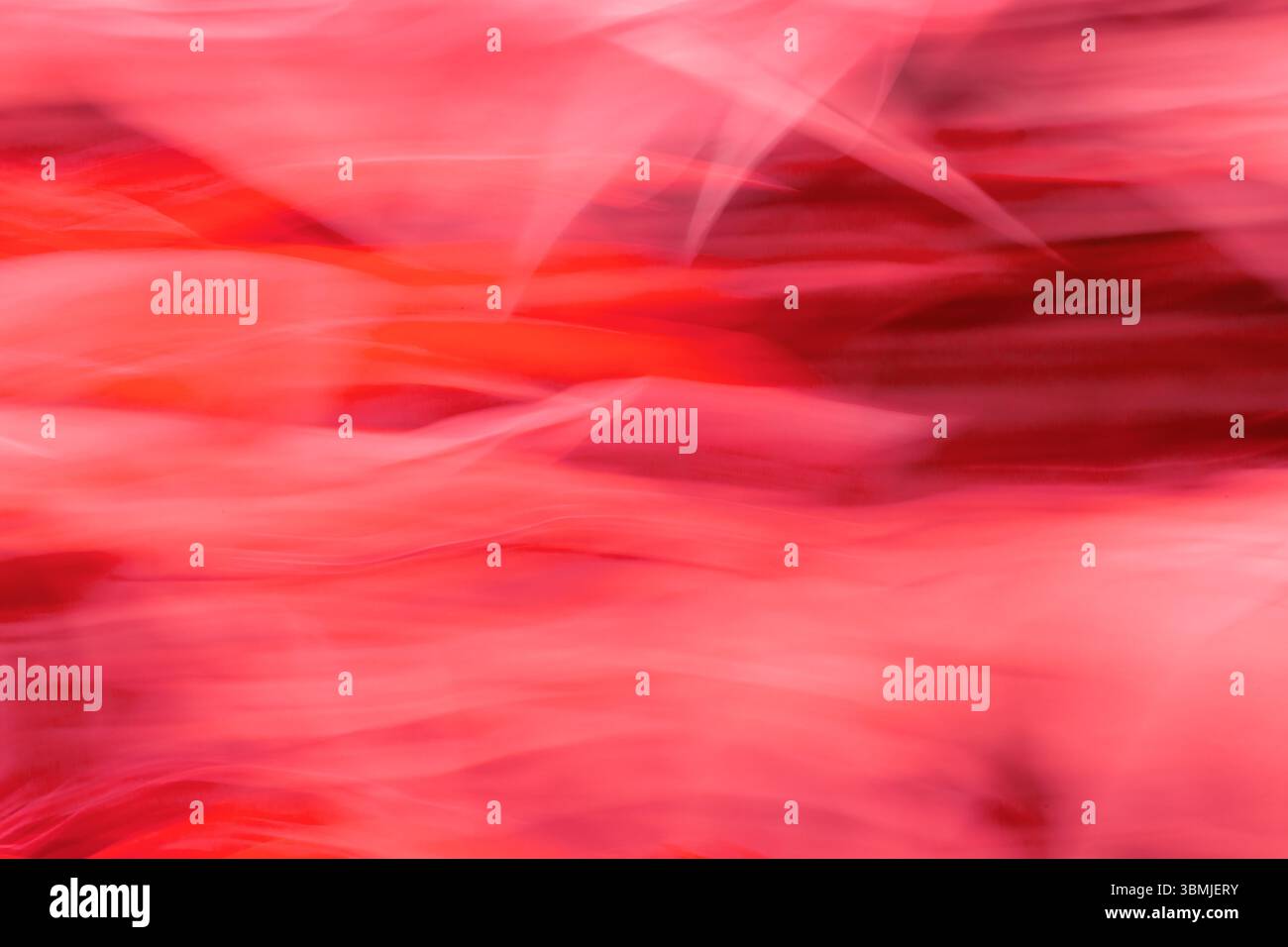 Image abstraite utilisant le feuillage pris avec Intentional Camera Movement (ICM) pour créer une image surréaliste et artistique donnant une sensation de mouvement avec le colo rouge Banque D'Images