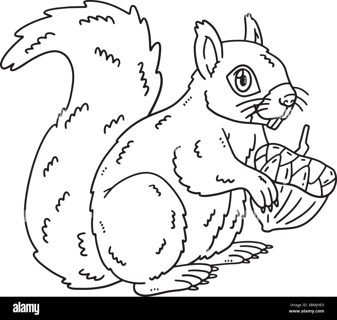 Couleur isolée de l'écureuil animal de la forêt Illustration de Vecteur