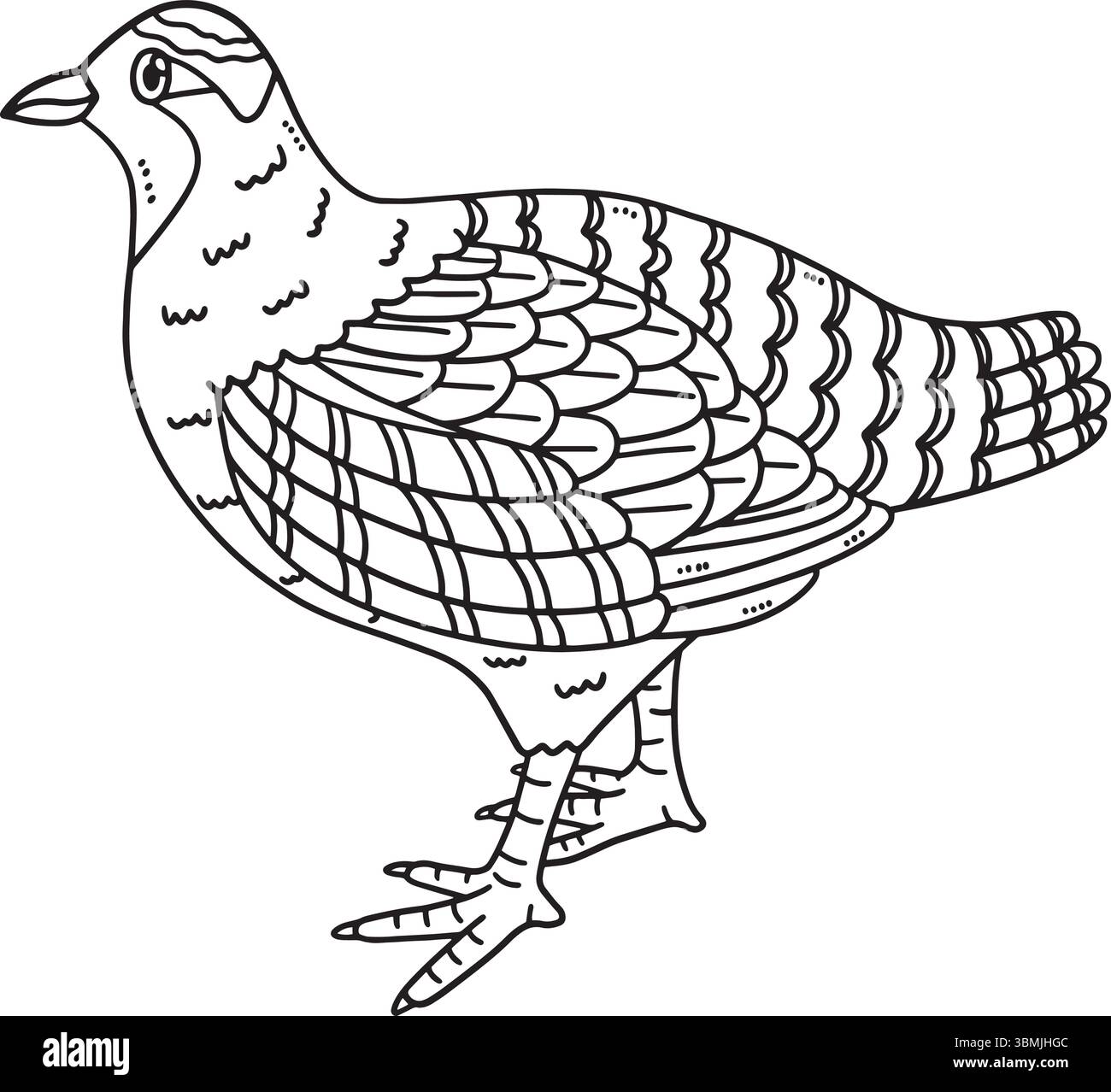 Page de coloration isolée de perdrix d'animaux forestiers Illustration de Vecteur