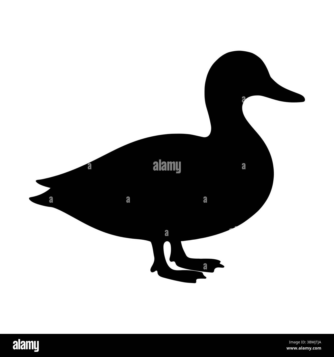Vue latérale de la silhouette de canard debout Illustration de Vecteur Vue latérale de la silhouette de canard debout Illustration de Vecteur
