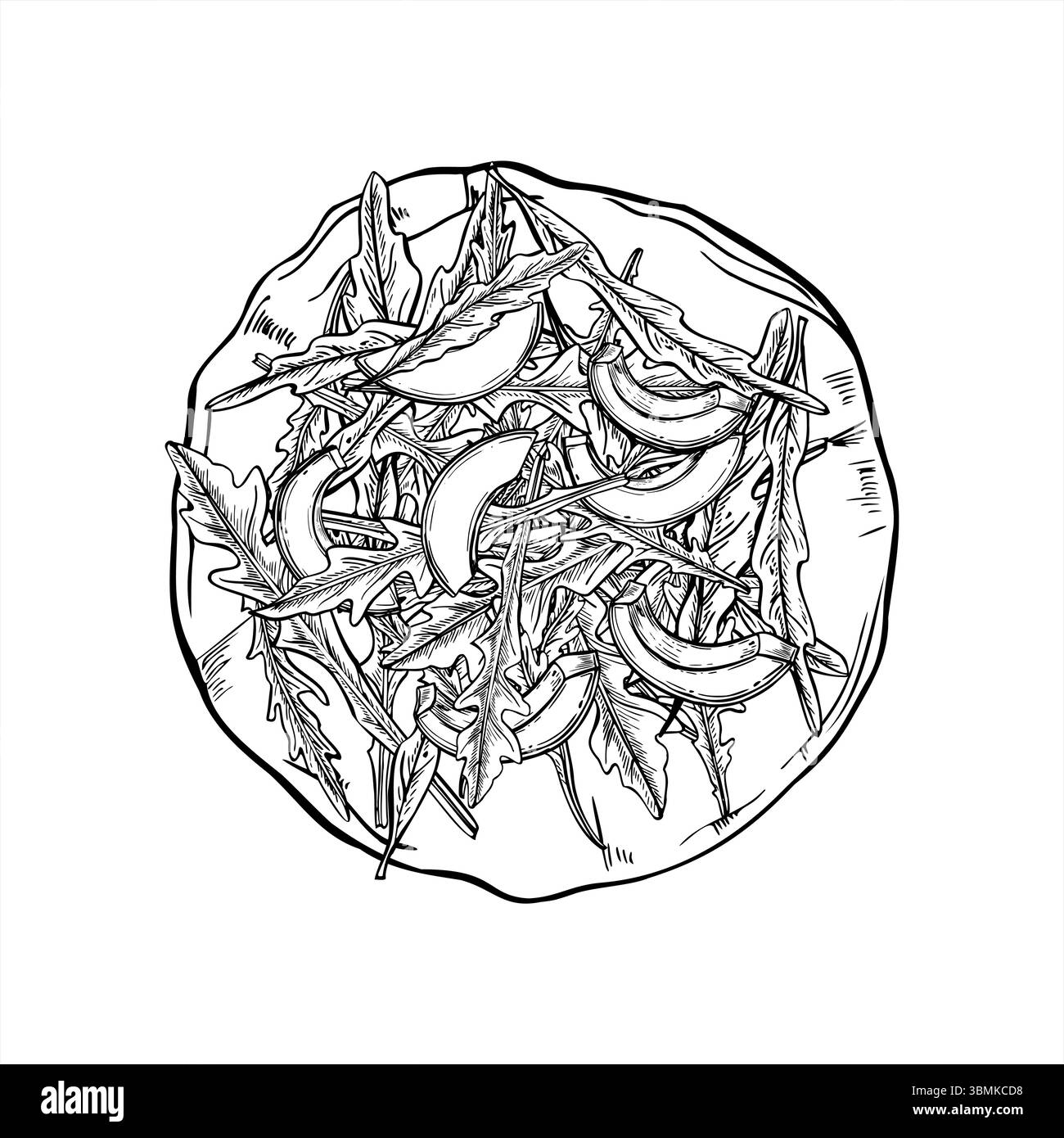 Tortilla vectorielle monochrome ou pizza avec roquette et tranches d'avocat illustration de croquis graphique. Pain plat avec des herbes et des légumes gravure dessin. Illustration de Vecteur