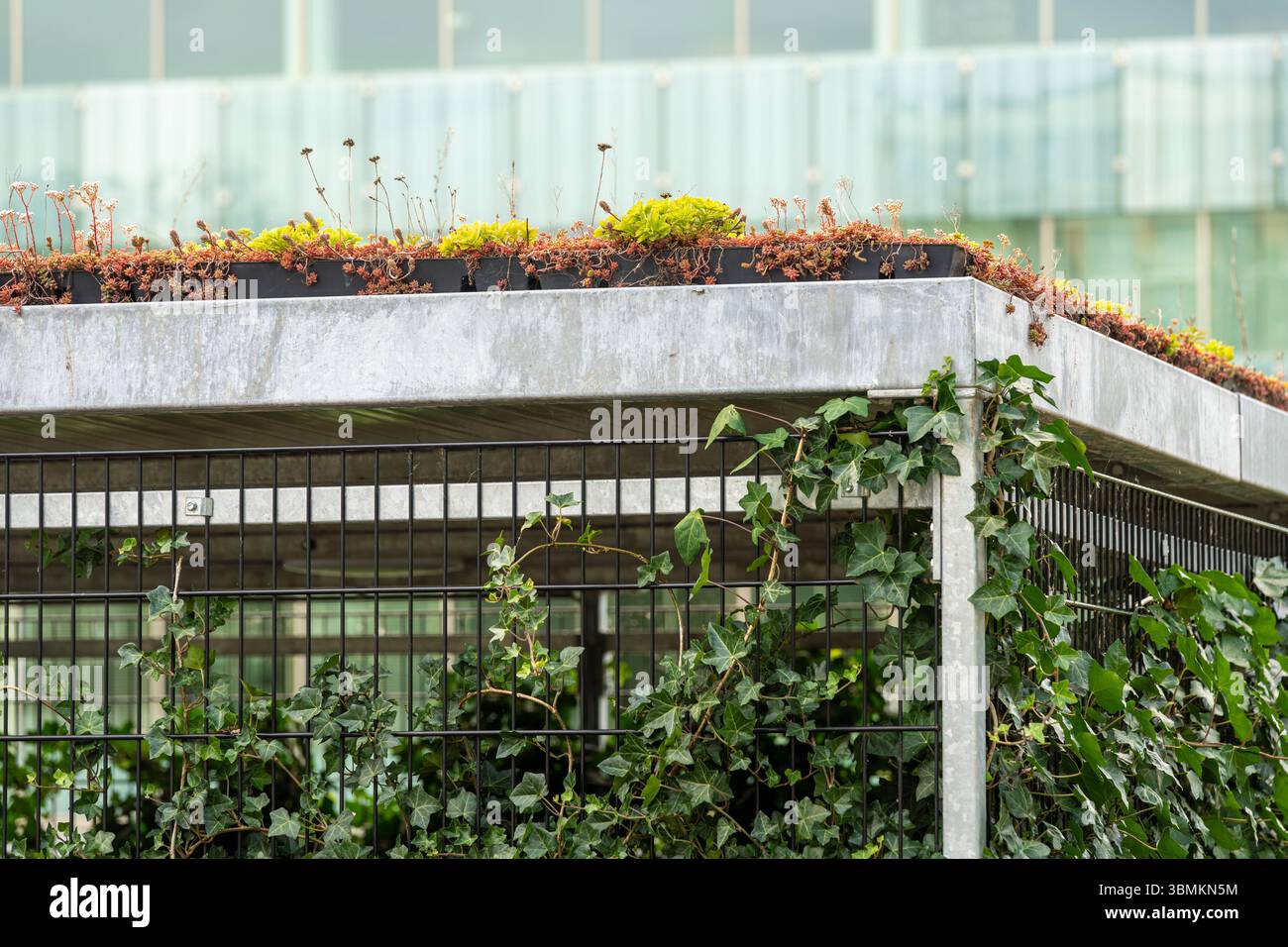 Garage extérieur durable avec toit vert et plantes grimpantes, jardinage vertical urbain pour une vie urbaine écologique Banque D'Images