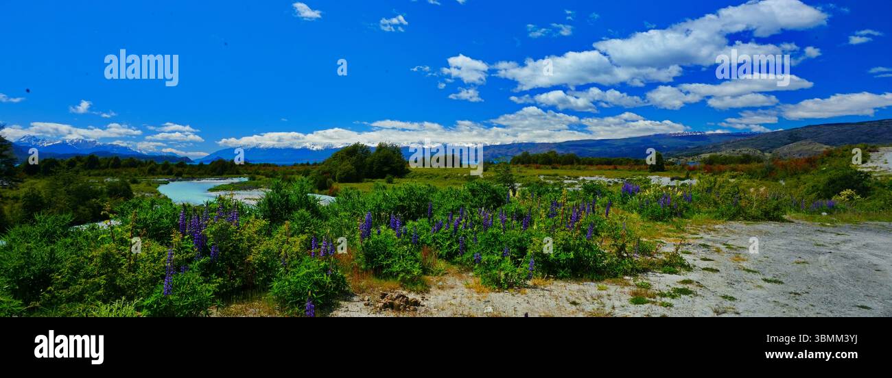 Lago Bertrand, Carretera Austral, Chili Banque D'Images