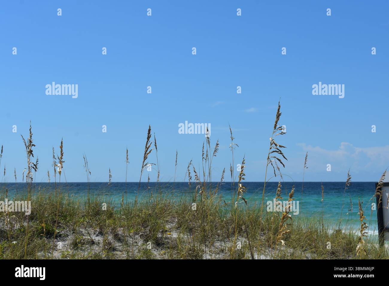 Debout sur la promenade, donnant sur les dunes de sable et le golfe à destin, Floride, États-Unis. Concept de voyage et de vacances d'été. Banque D'Images