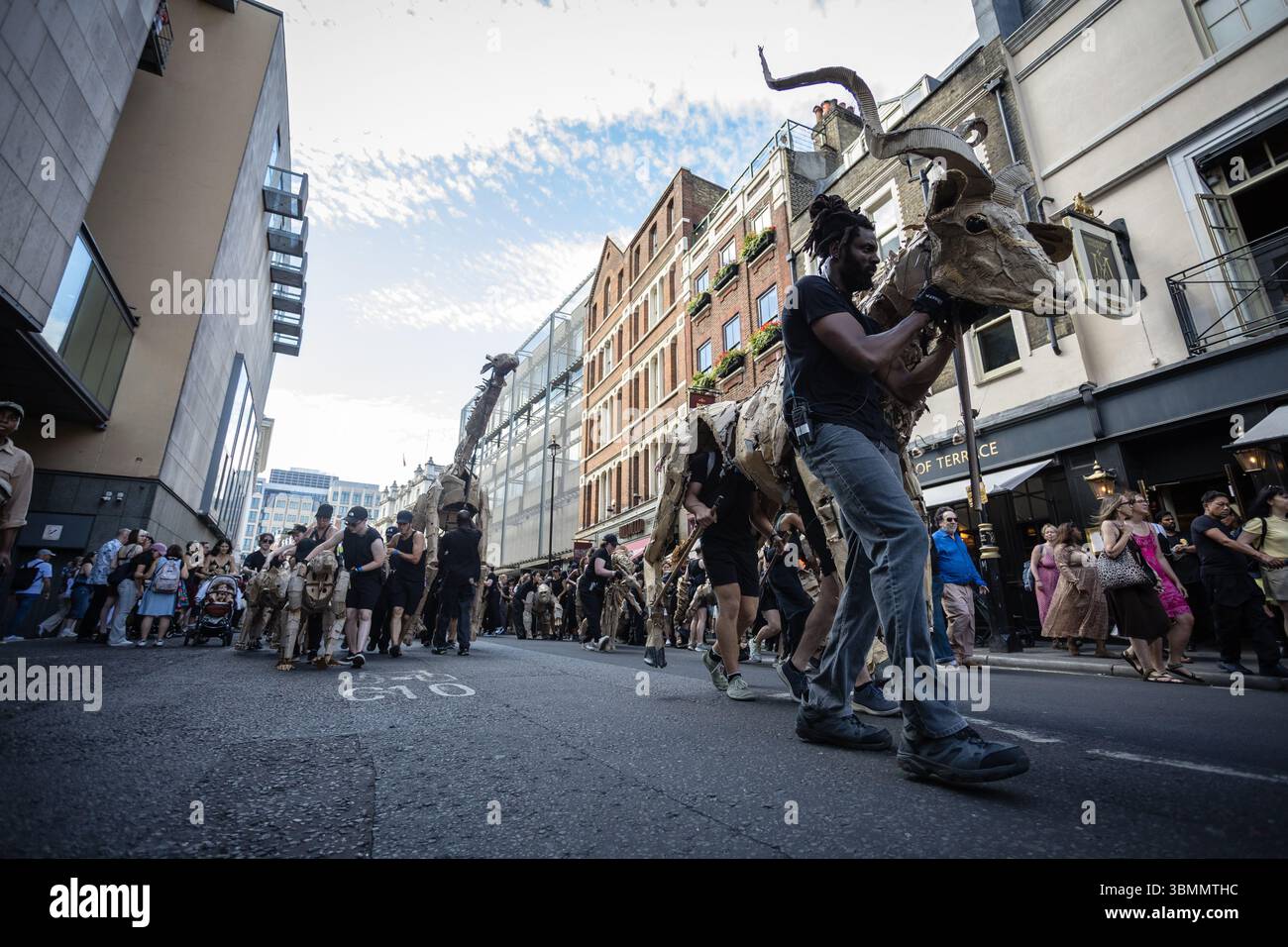 LONDRES, Royaume-Uni – 27 juin 2025 : les artistes manœuvrent des marionnettes animales en carton grandeur nature dans le West End dans le cadre des troupeaux, un publi de 20 000 kilomètres Banque D'Images